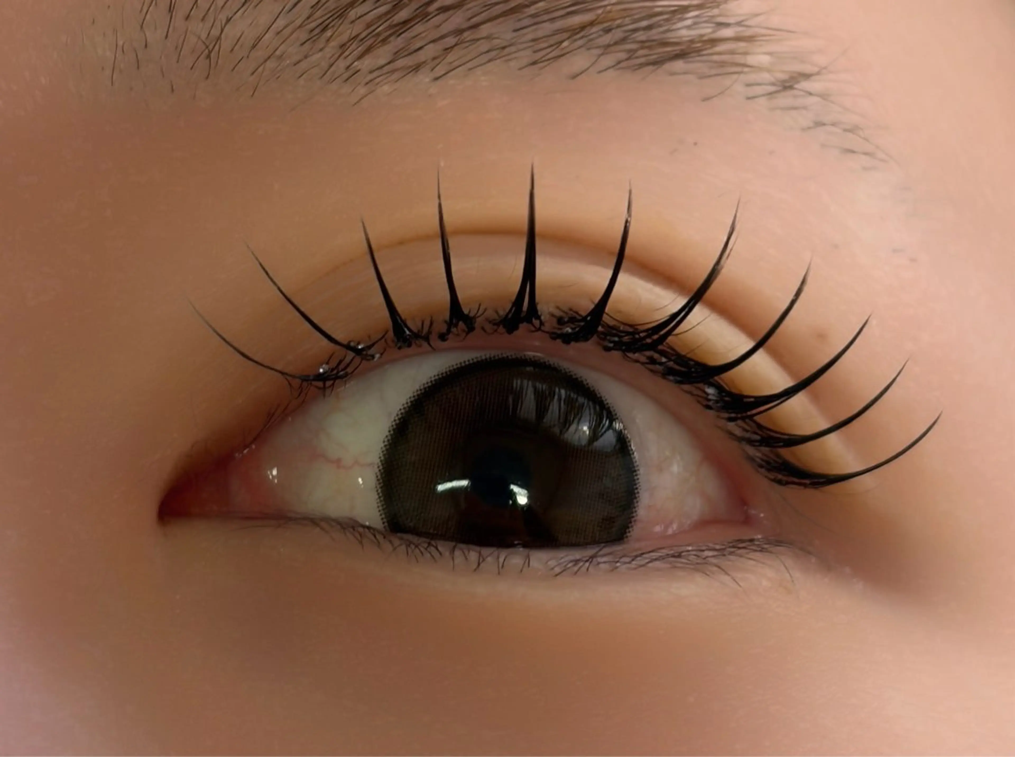 マツエク・マツパ フラットラッシュ マツエク ルチア所属・ルチア💞 luciaのマツエク・マツパデザイン