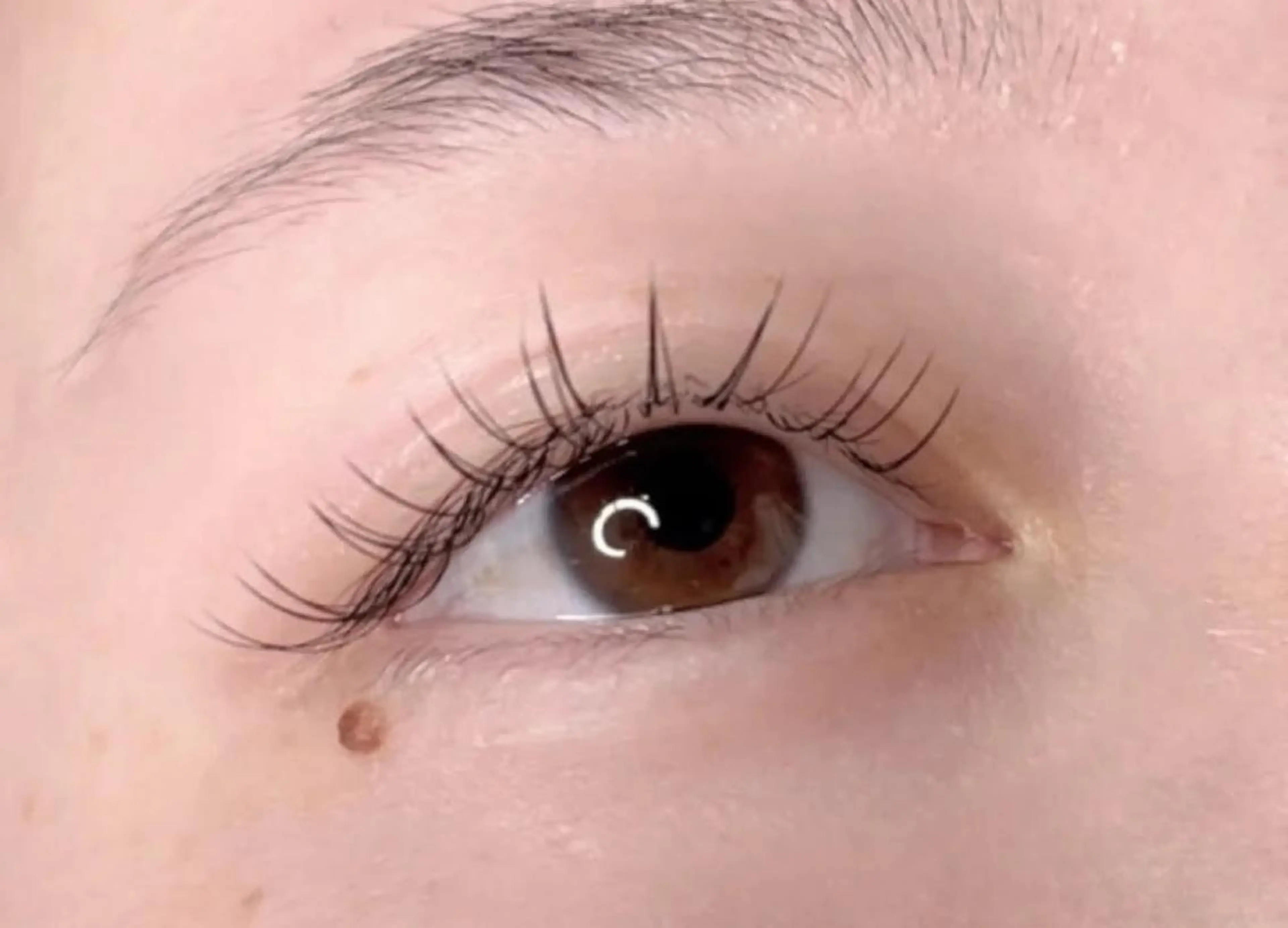 新規フラットラッシュ80本の写真