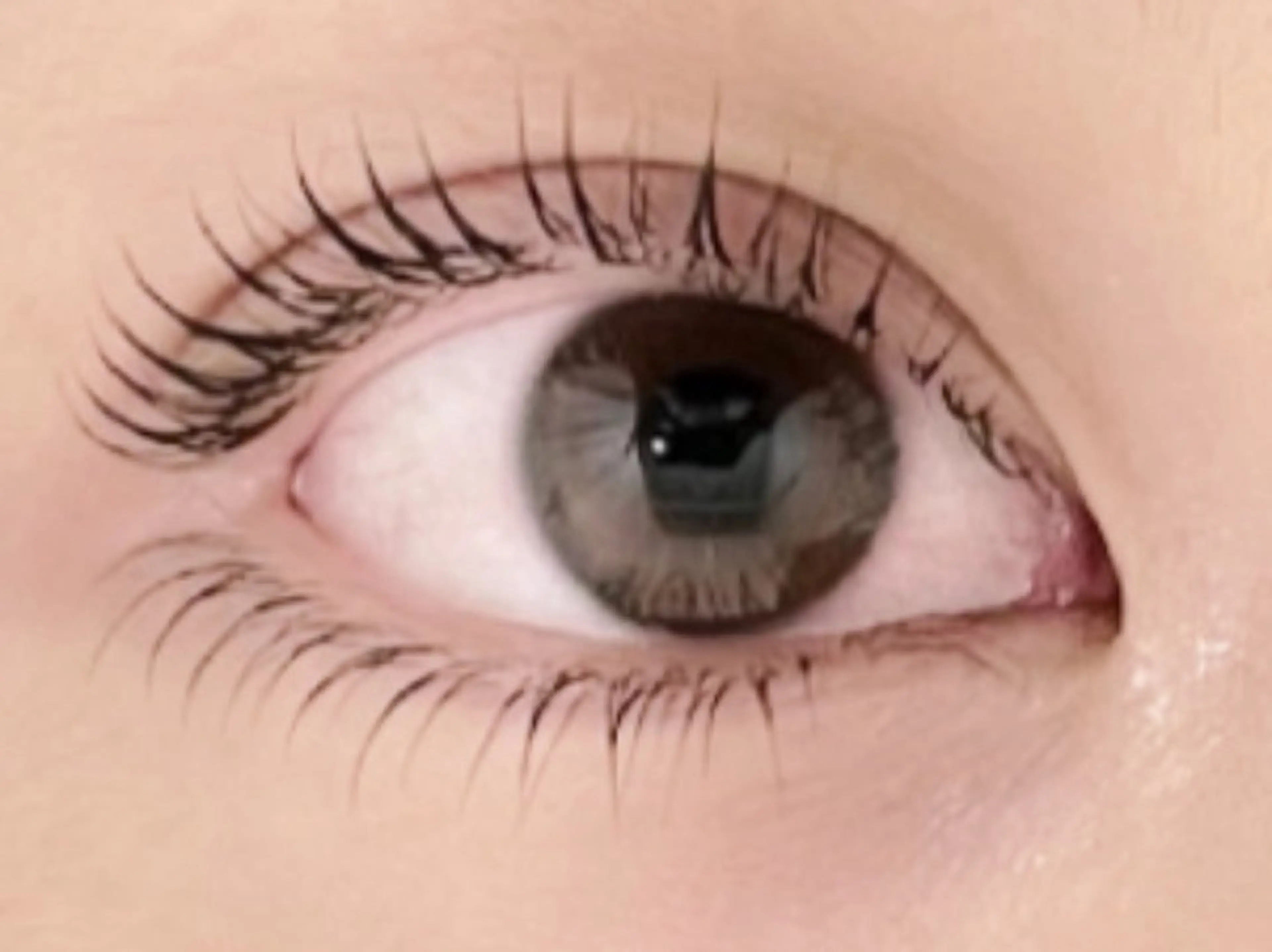 マツエク・マツパ まつげパーマ Linoa yuriの眉毛・アイブロウイメージ