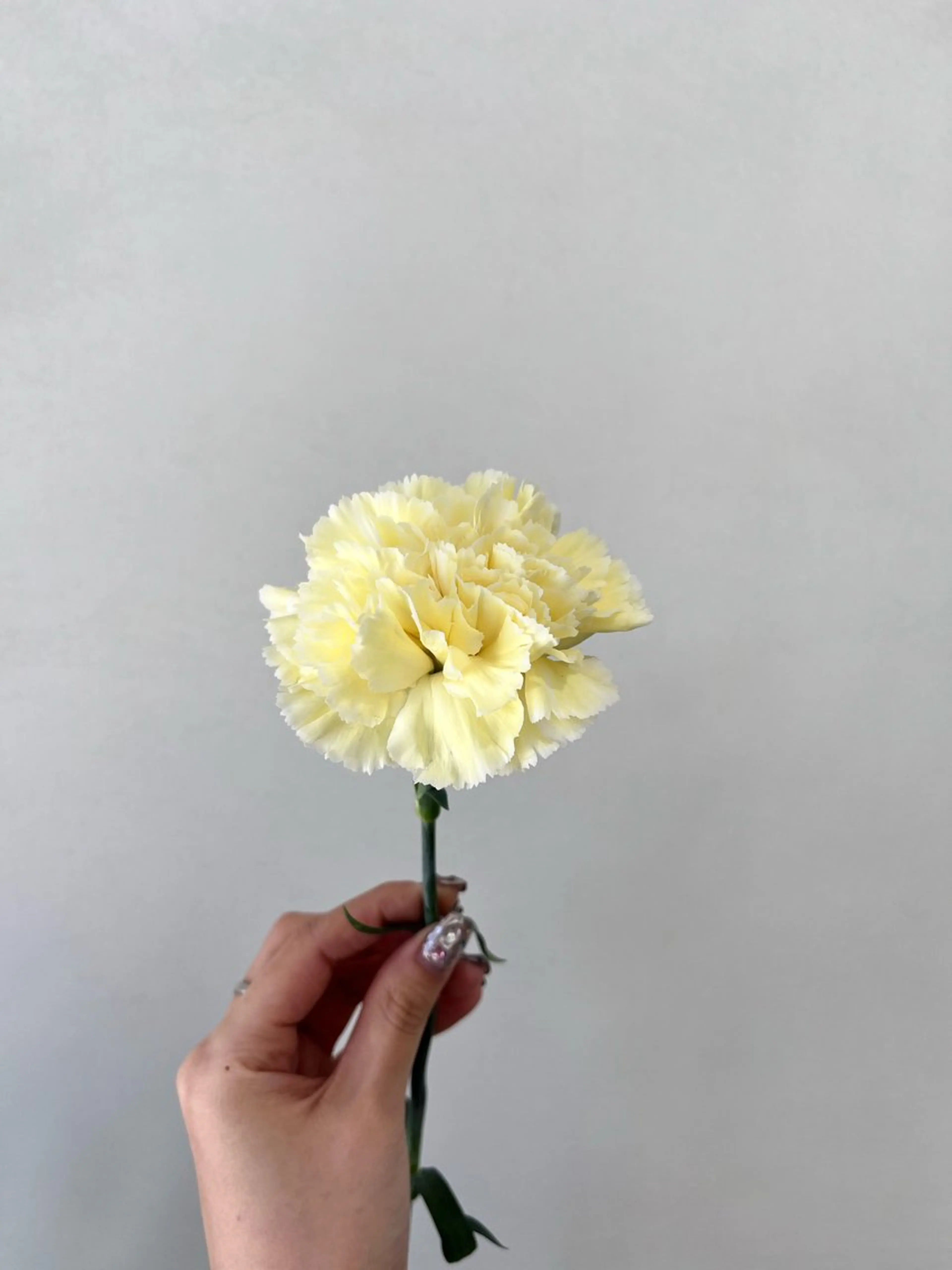 カラー 暖色カラー／ ヘアセット🌛櫻井舞のヘアスタイル