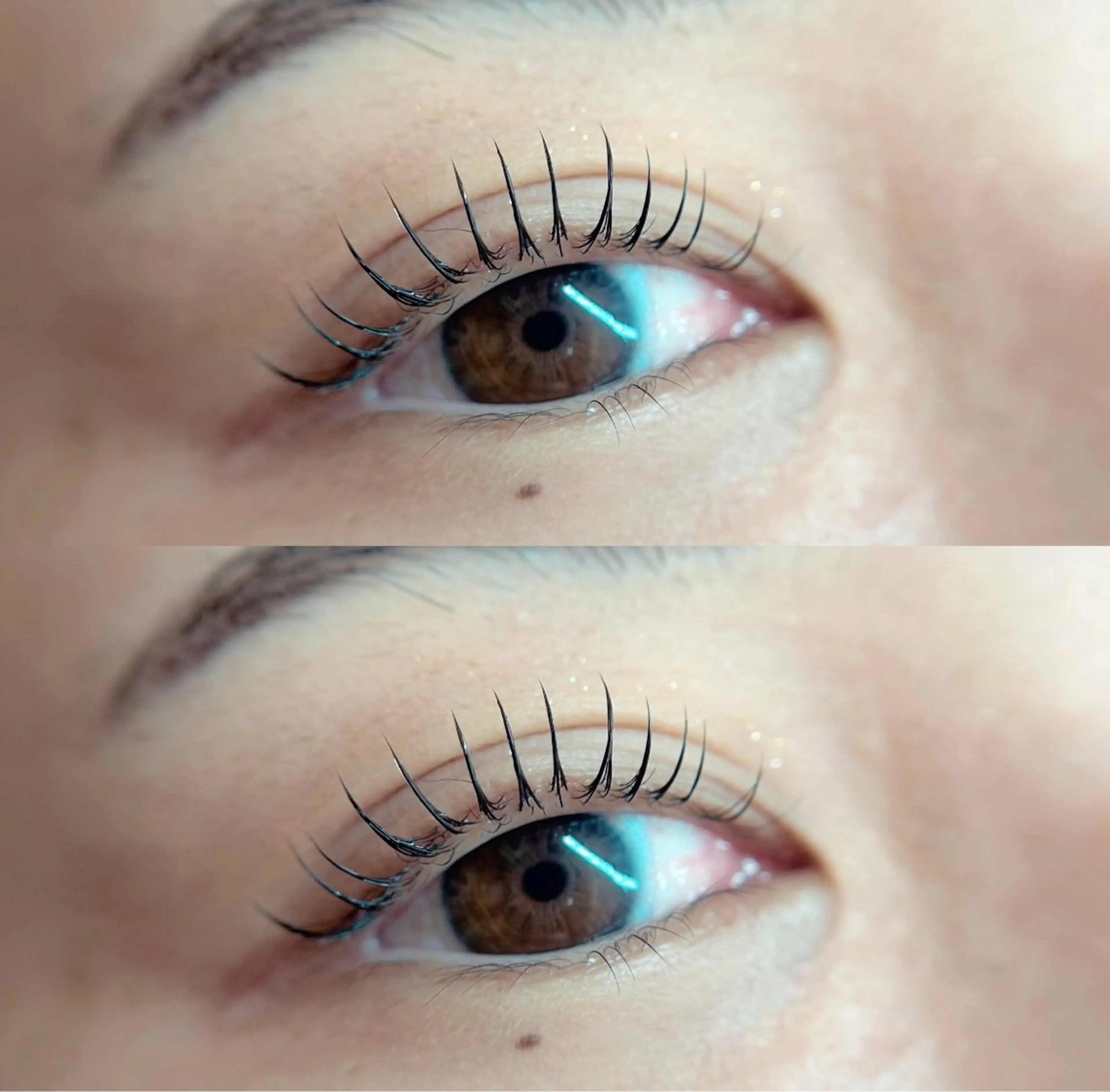 ラッシュリフト まつ毛パーマ👀(クリアコーティング付)の写真