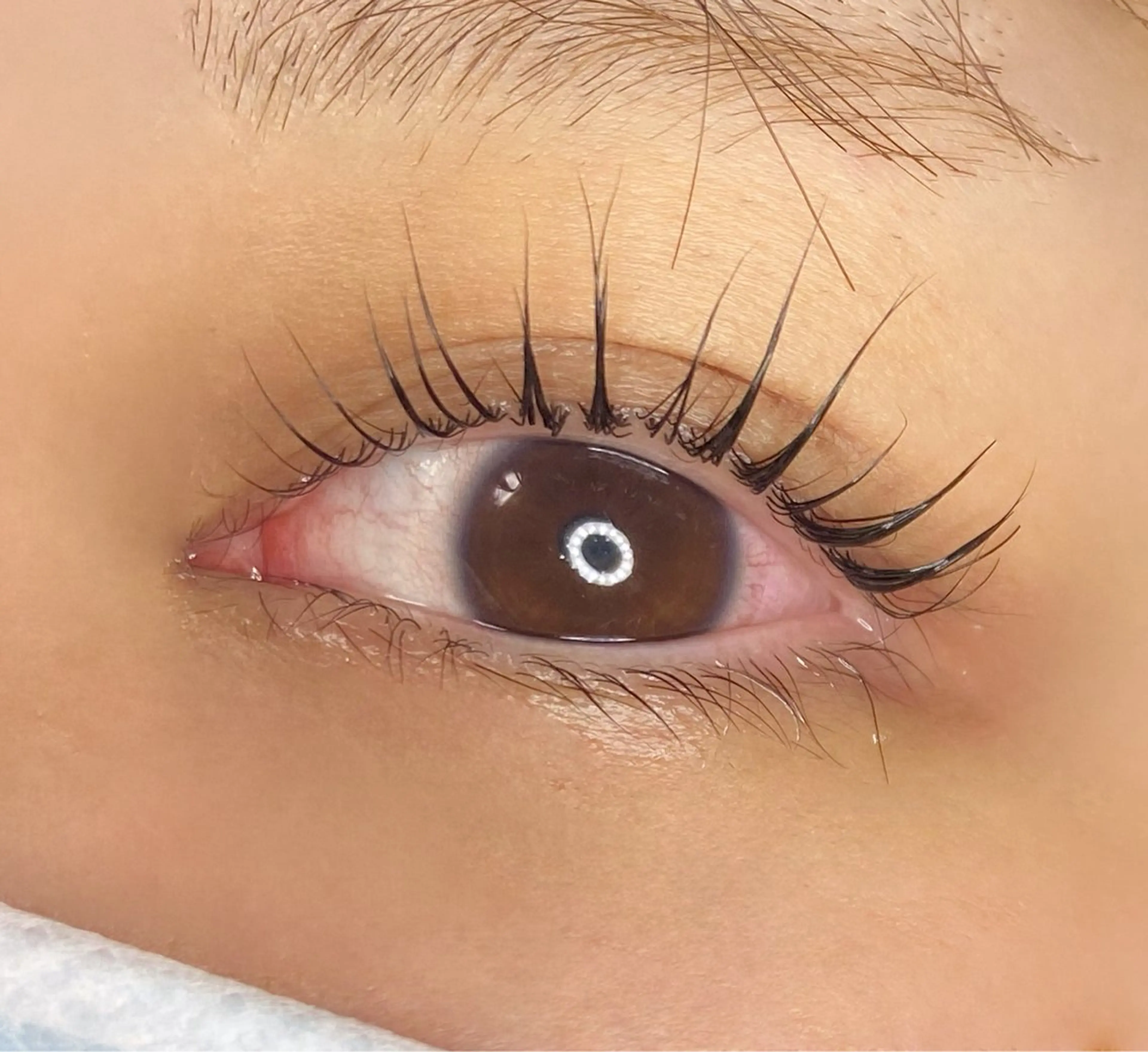 マツエク・マツパ mahalo / momokoのマツエク・マツパデザイン