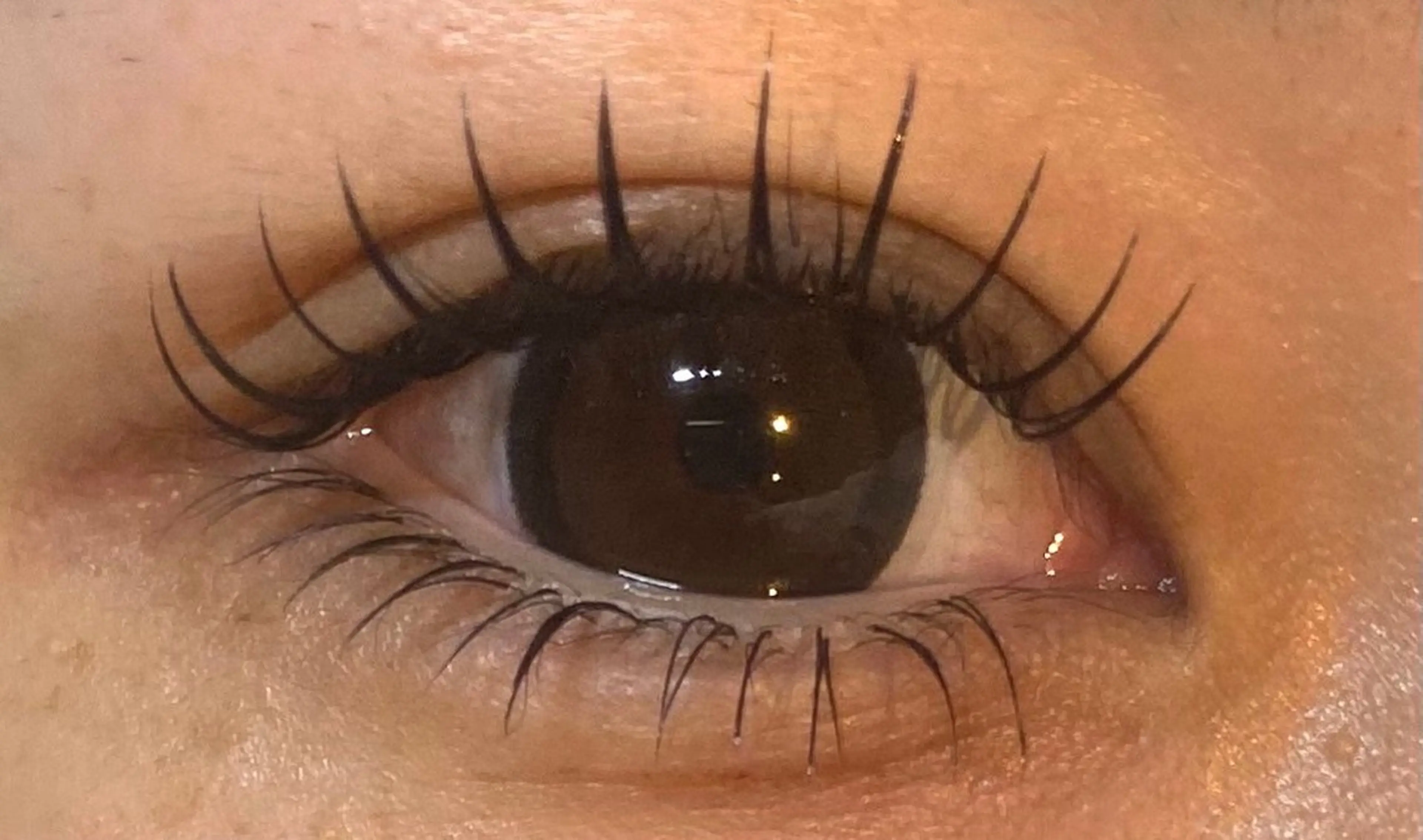 🫧最高級フラットラッシュ40本¥4,200→¥3,200【他店リペア可/オフ可/ミニモ限定特別価格🕊️】の写真