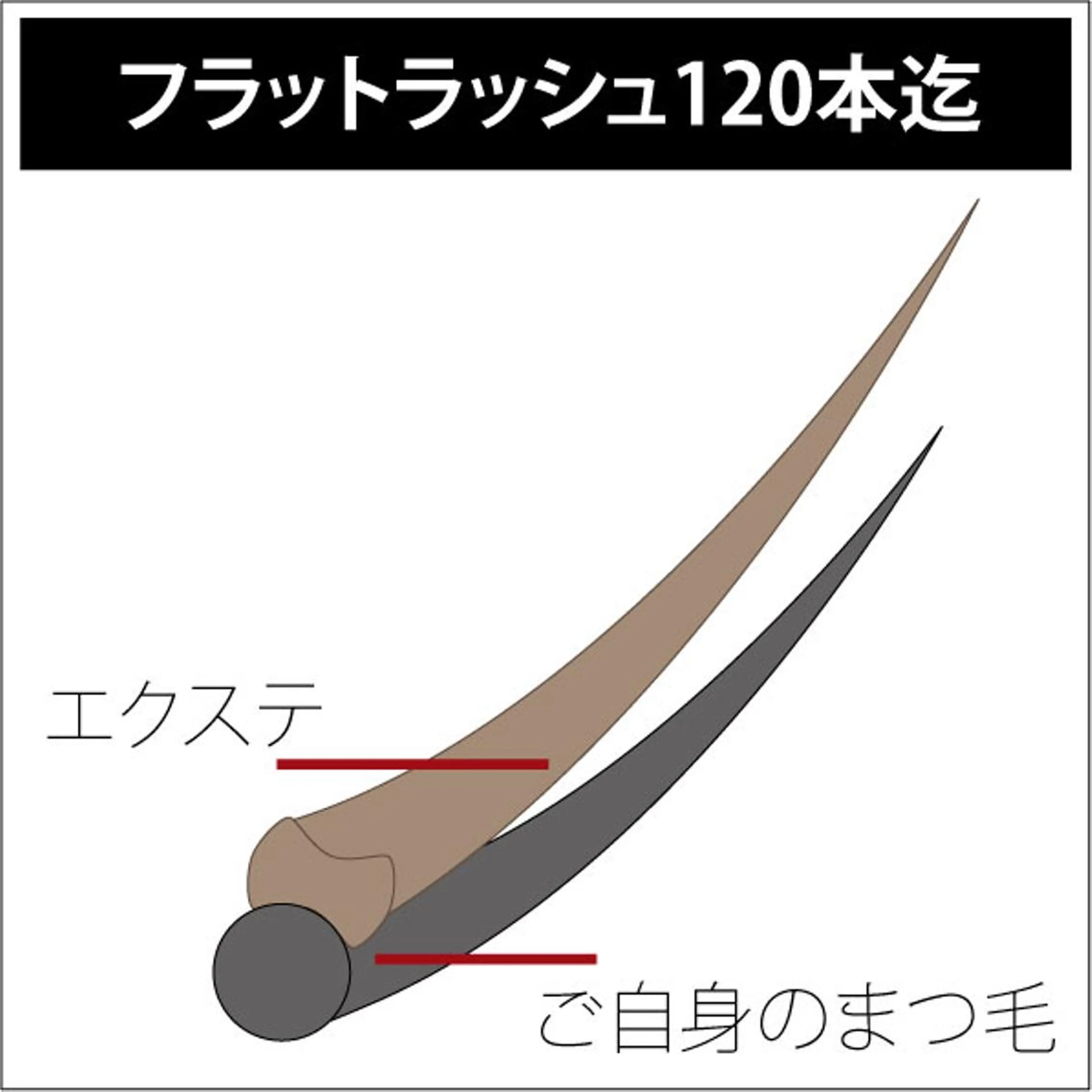 マツエク・マツパ Masami ・Iのマツエク・マツパデザイン