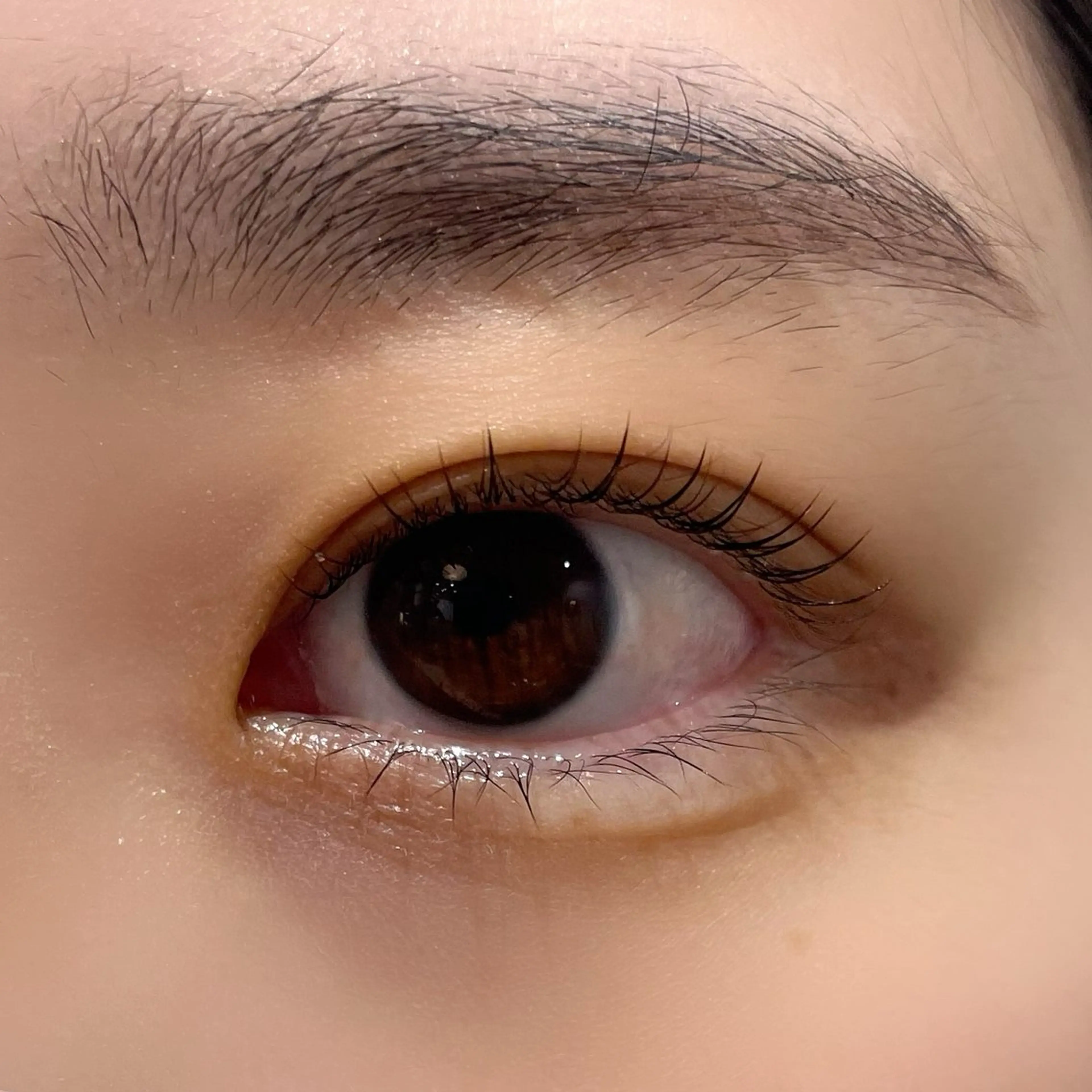 マツエク・マツパ Oli-Oli arisaのマツエク・マツパデザイン