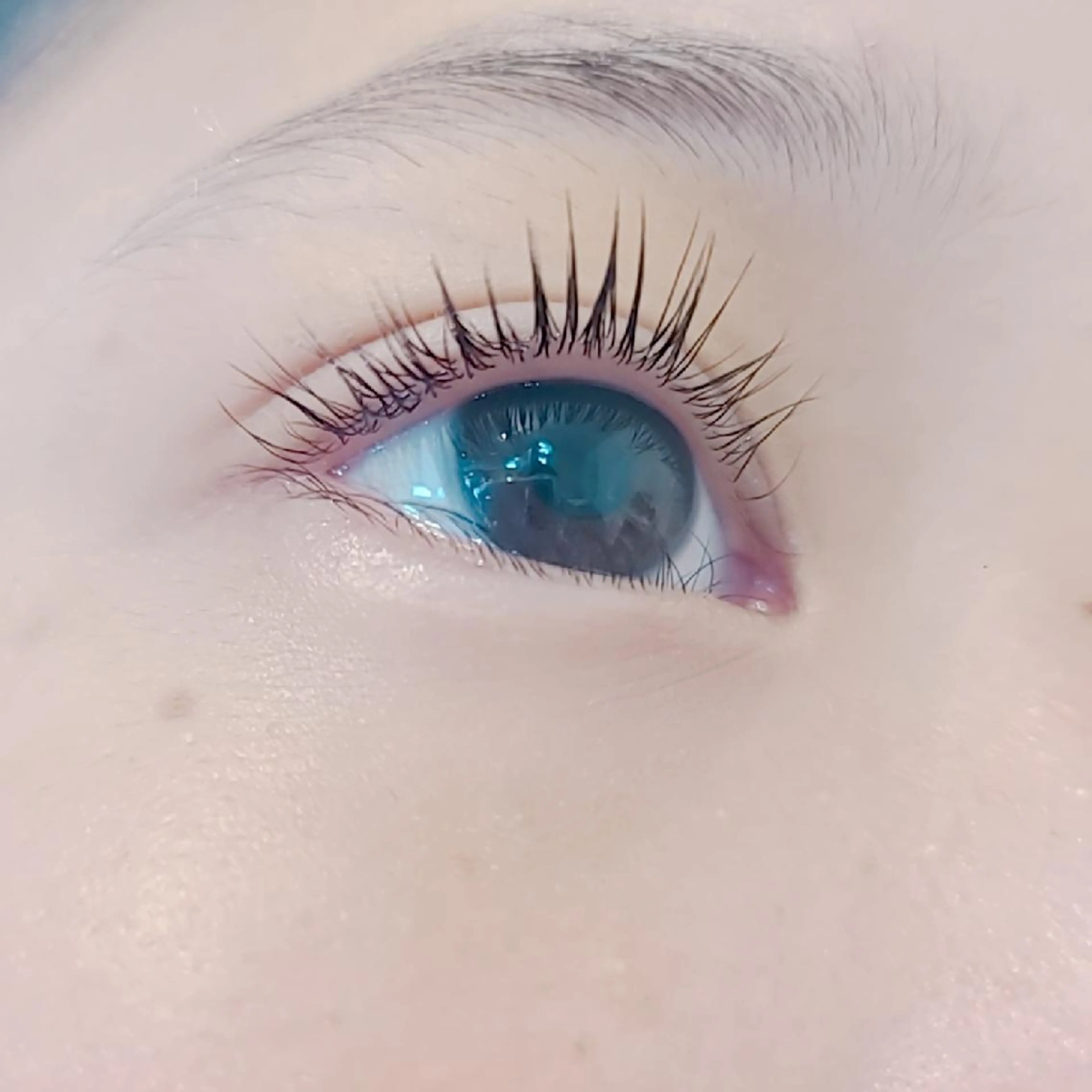 まぶたから上げる特許取得の次世代まつげパーマ🌟アイリッドアップパーマの写真