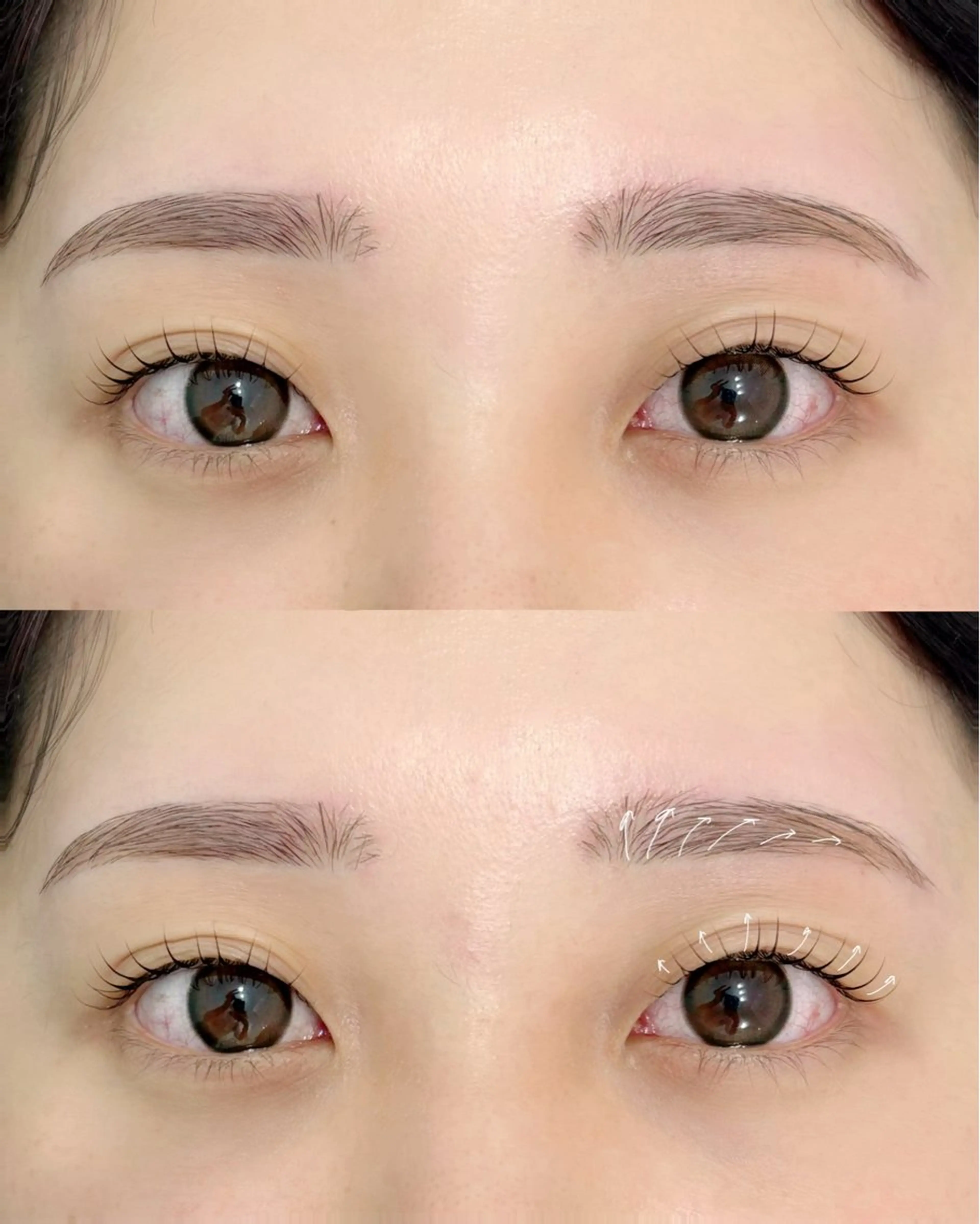 セットでお得に✨眉毛ワックス&まつ毛パーマ(オプション無料)の写真