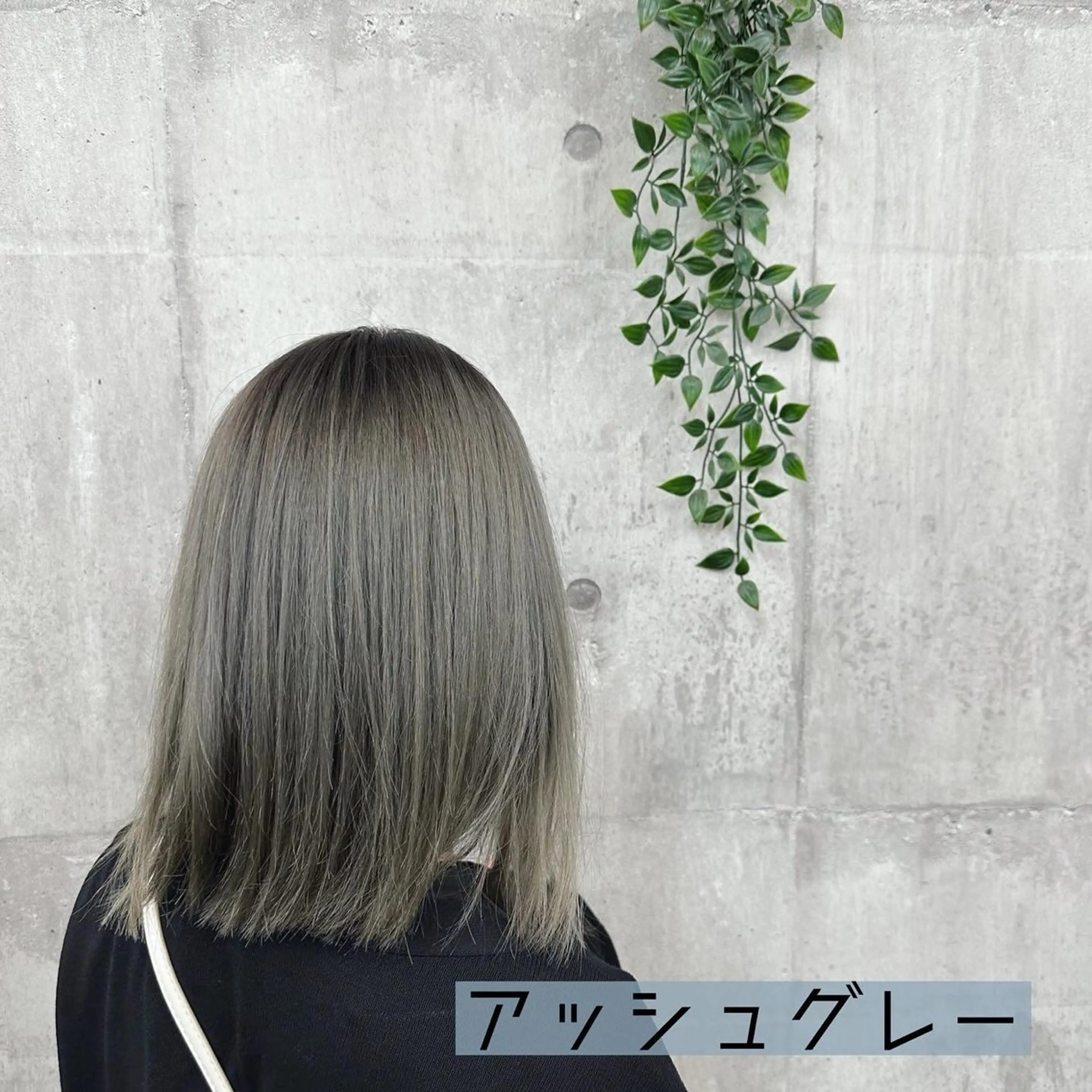 セミロング カラー アッシュ アッシュグレー 森本 倭のヘアスタイル
