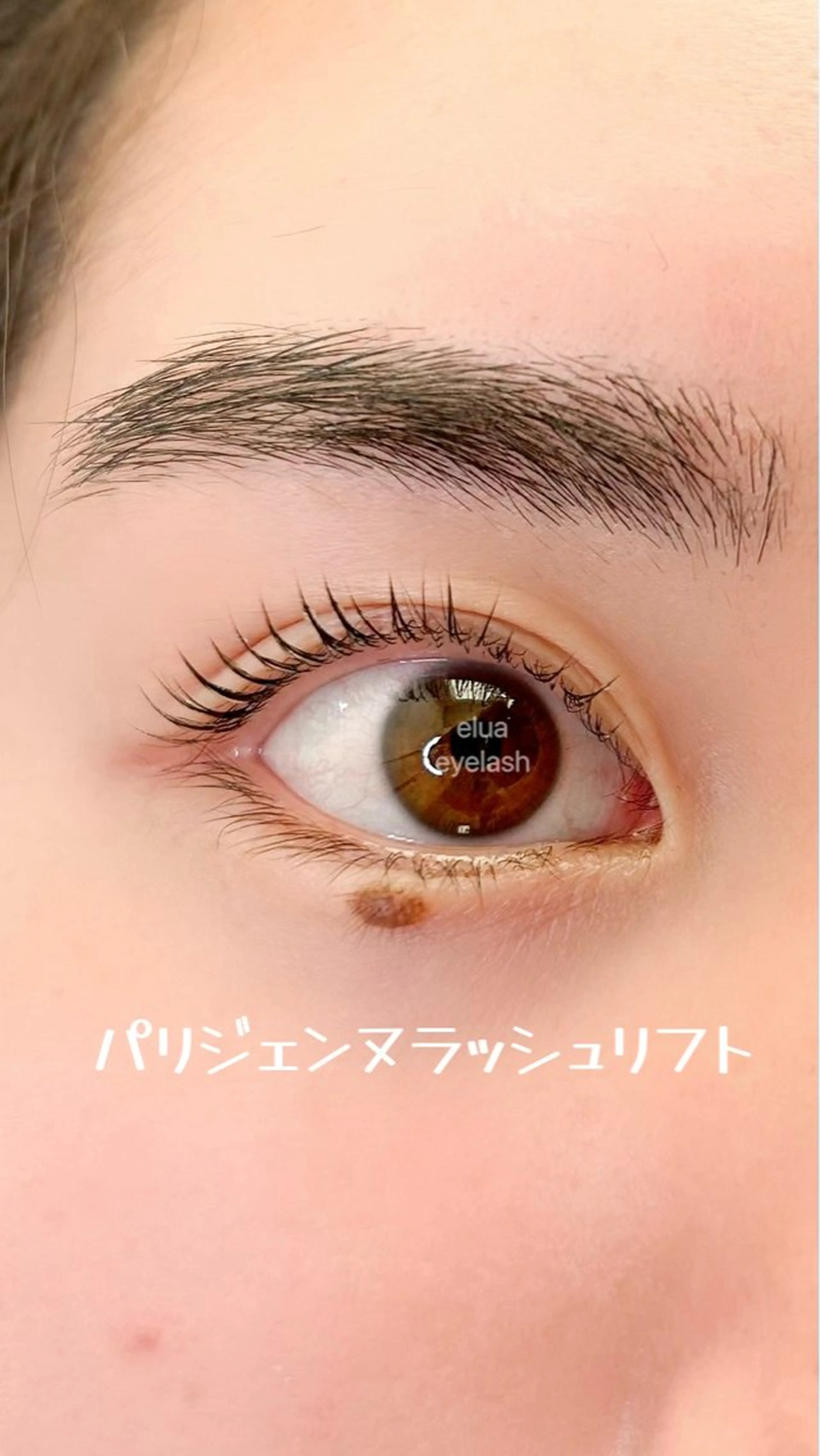 マツエク・マツパ パリジェンヌラッシュリフト マツパ elua eyelash所属・elua eyelashの眉毛・アイブロウイメージ