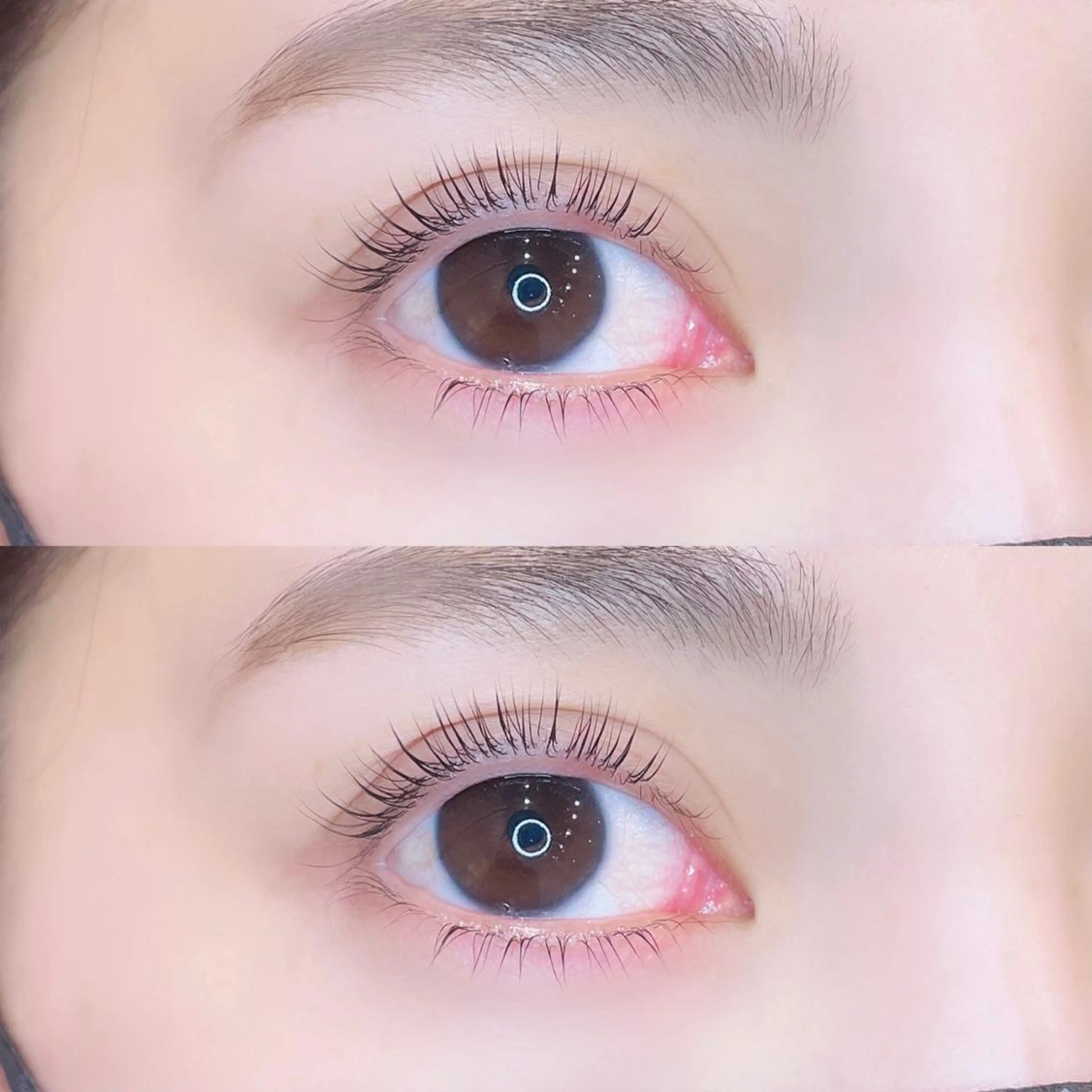 ❣️選べるラッシュリフト+下まつげパーマ❣️の写真