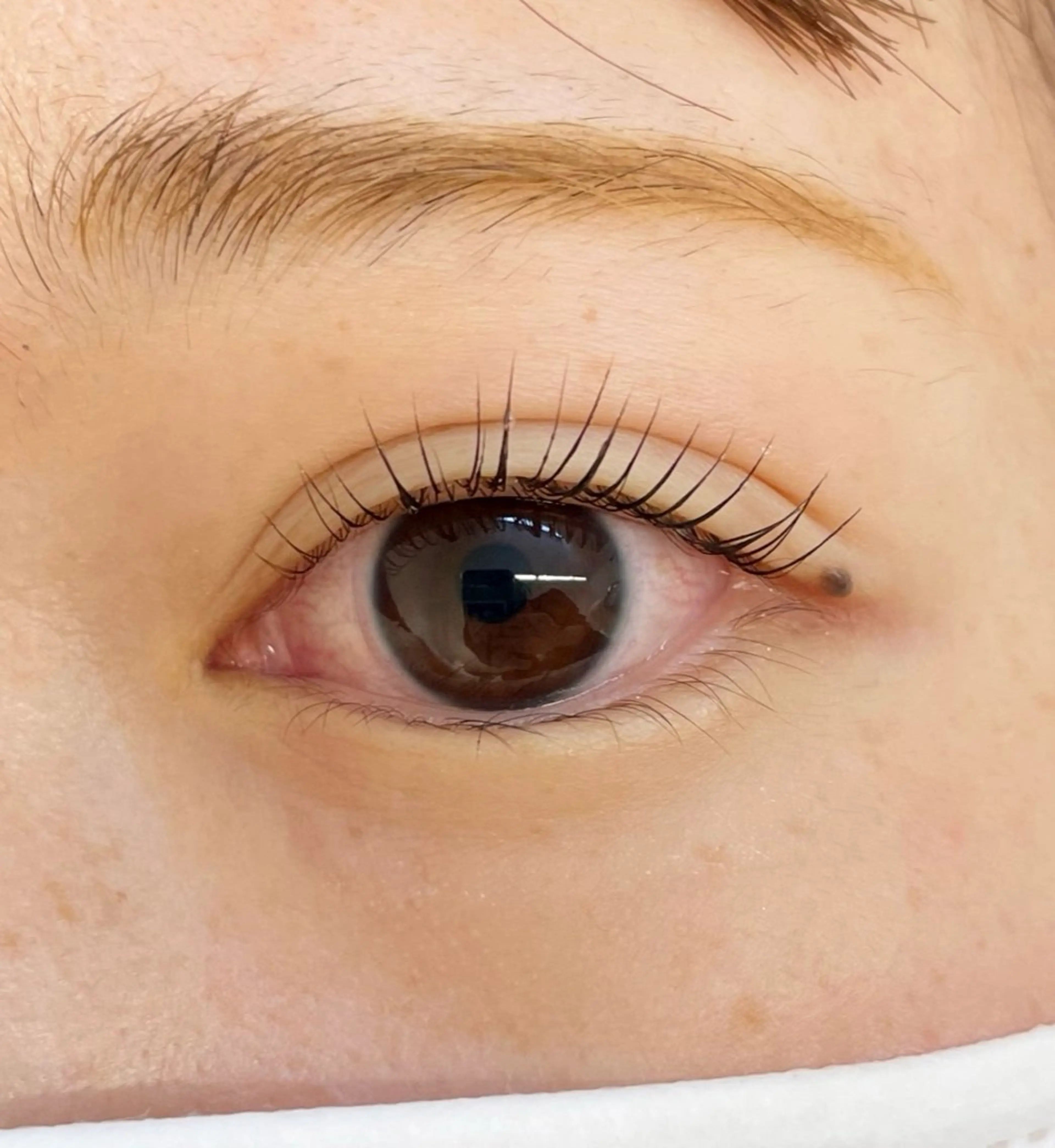 マツエク・マツパ Rich to 蒲郡店所属・夏目 汐梨のマツエク・マツパデザイン