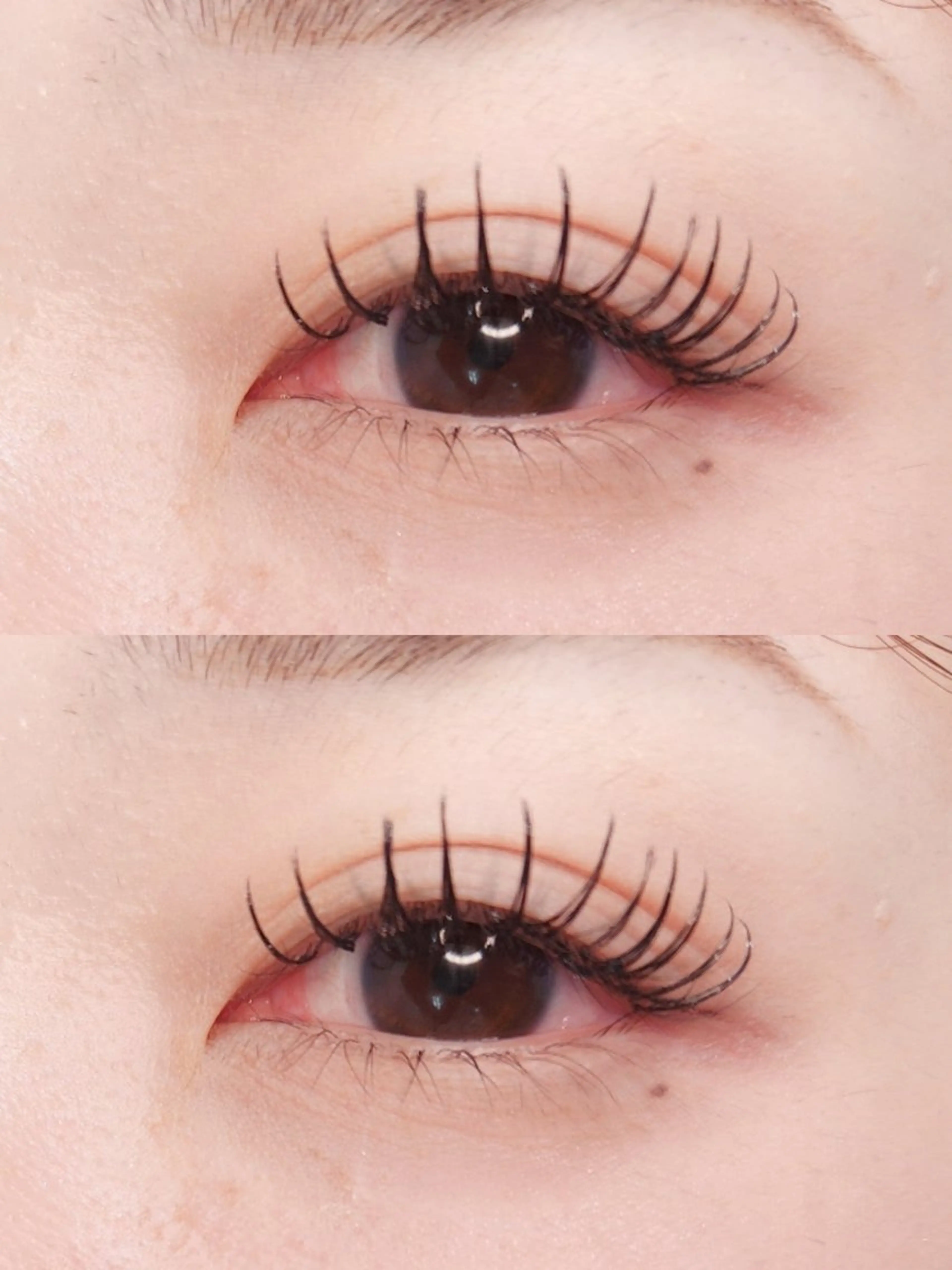 マツエク・マツパ E.m.u..所属・E.m.u.. エミュのマツエク・マツパデザイン