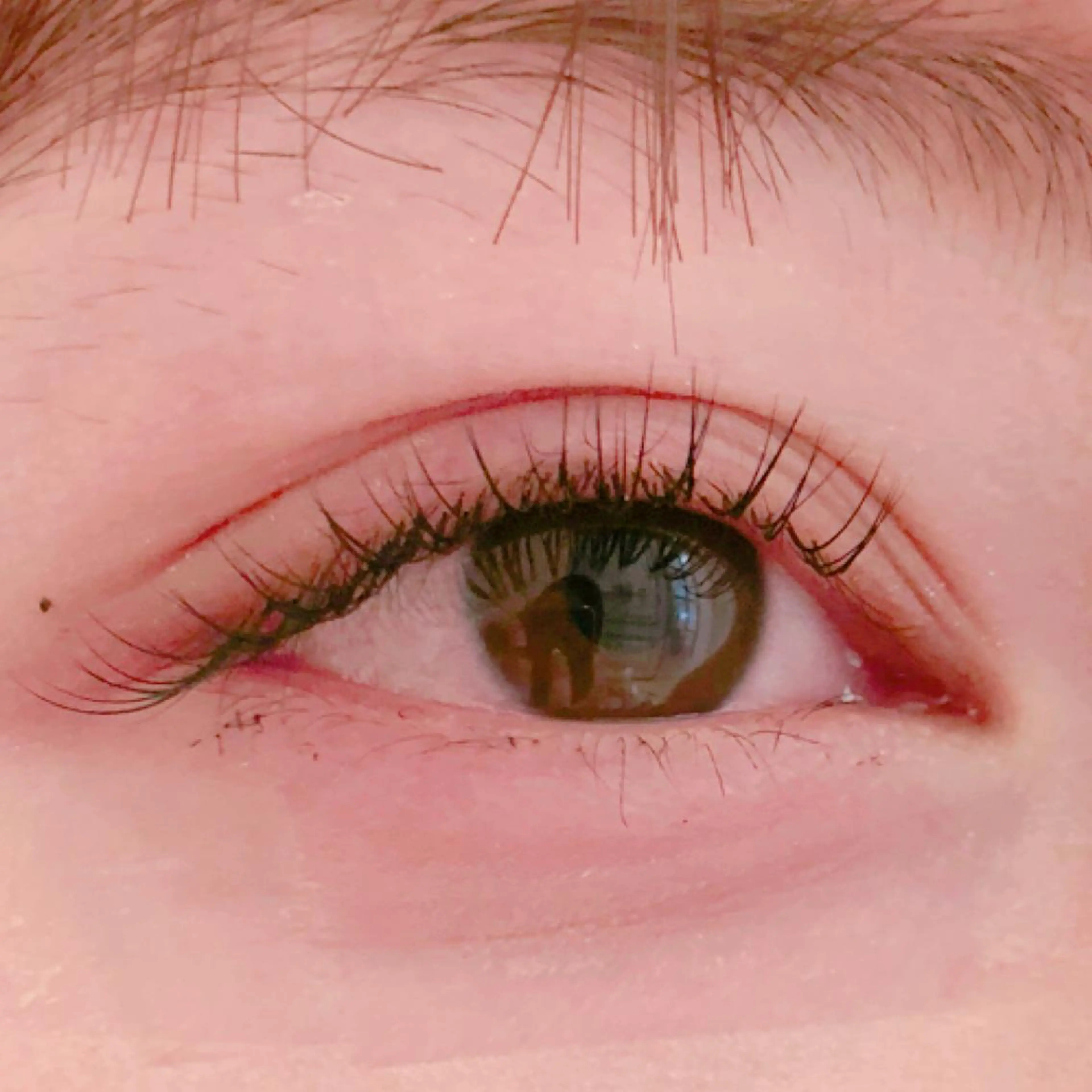 マツエク・マツパ フラットラッシュ eyelist マツエク🐣のマツエク・マツパデザイン