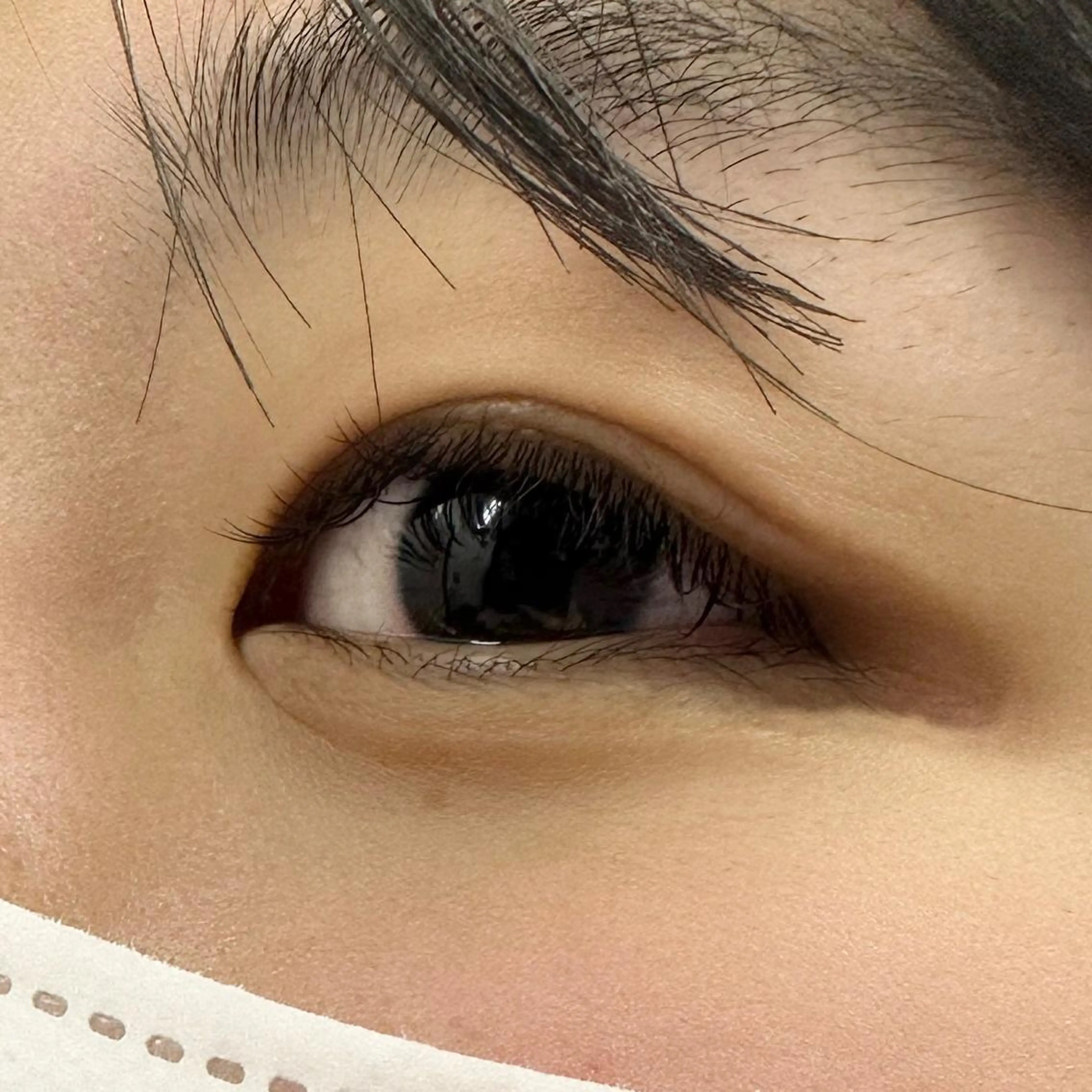 マツエク・マツパ Cカール Miyu🦄ash メンズカット/まつげのヘアスタイル