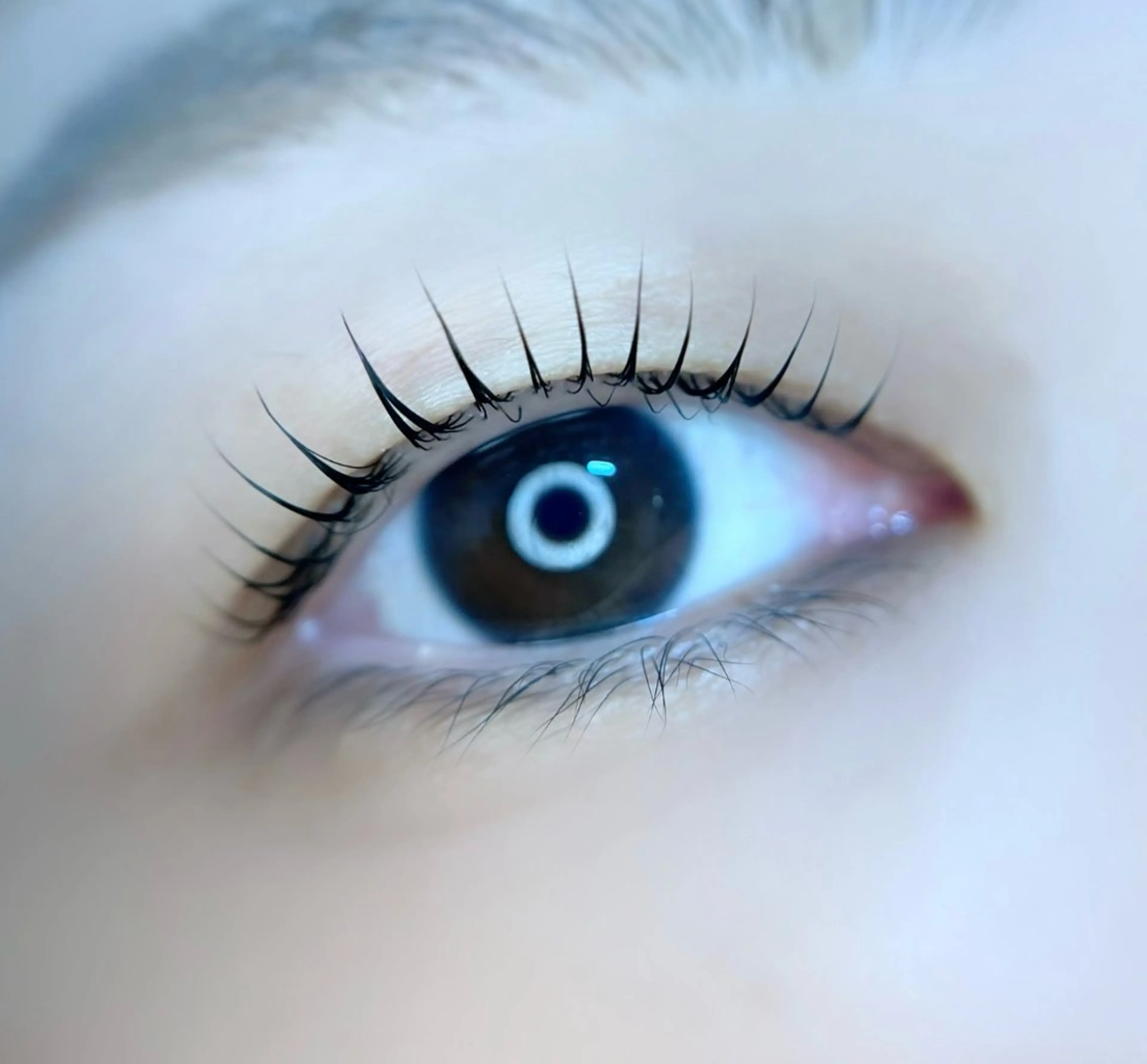 マツエク・マツパ mellow:所属・mellow: eyelashのマツエク・マツパデザイン