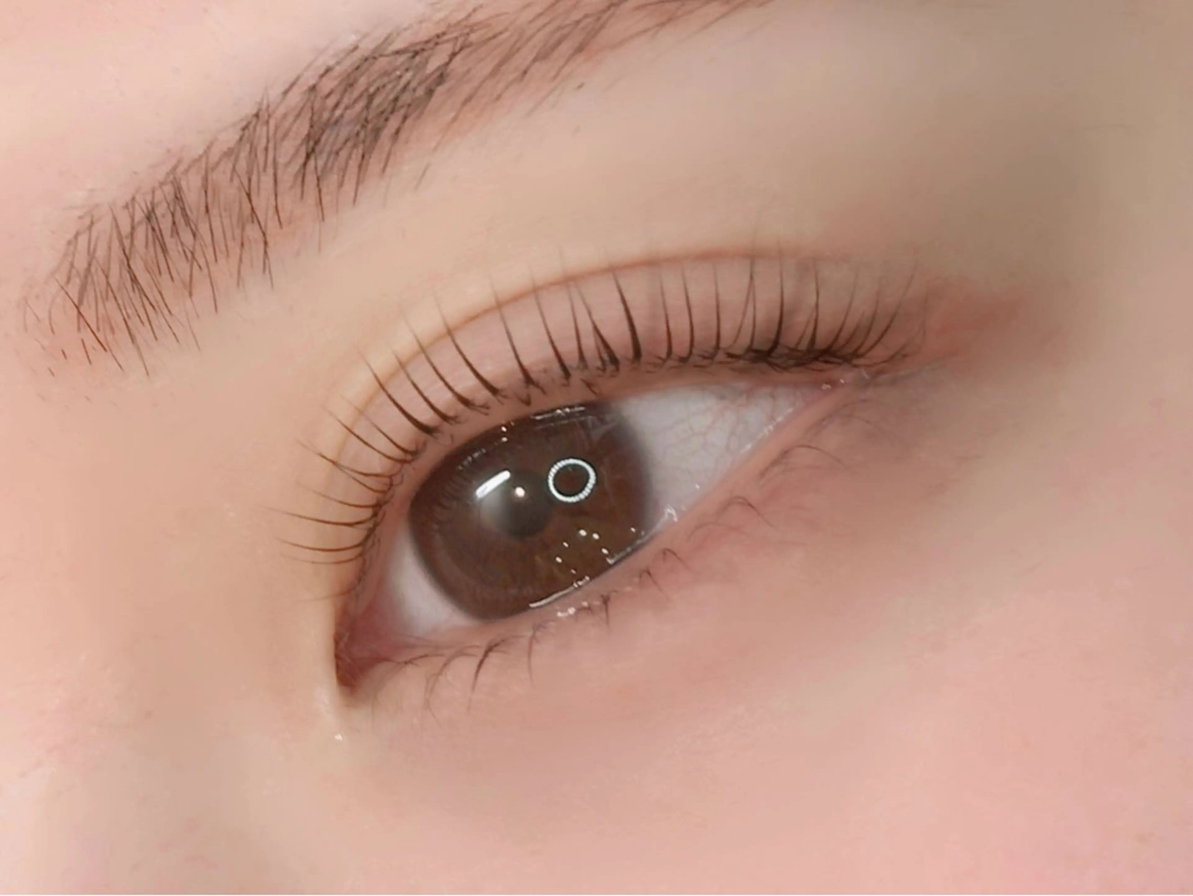 マツエク・マツパ Eyelash salon Kanau 銀座所属・アイラッシュサロン Kanau 銀座店の眉毛・アイブロウイメージ