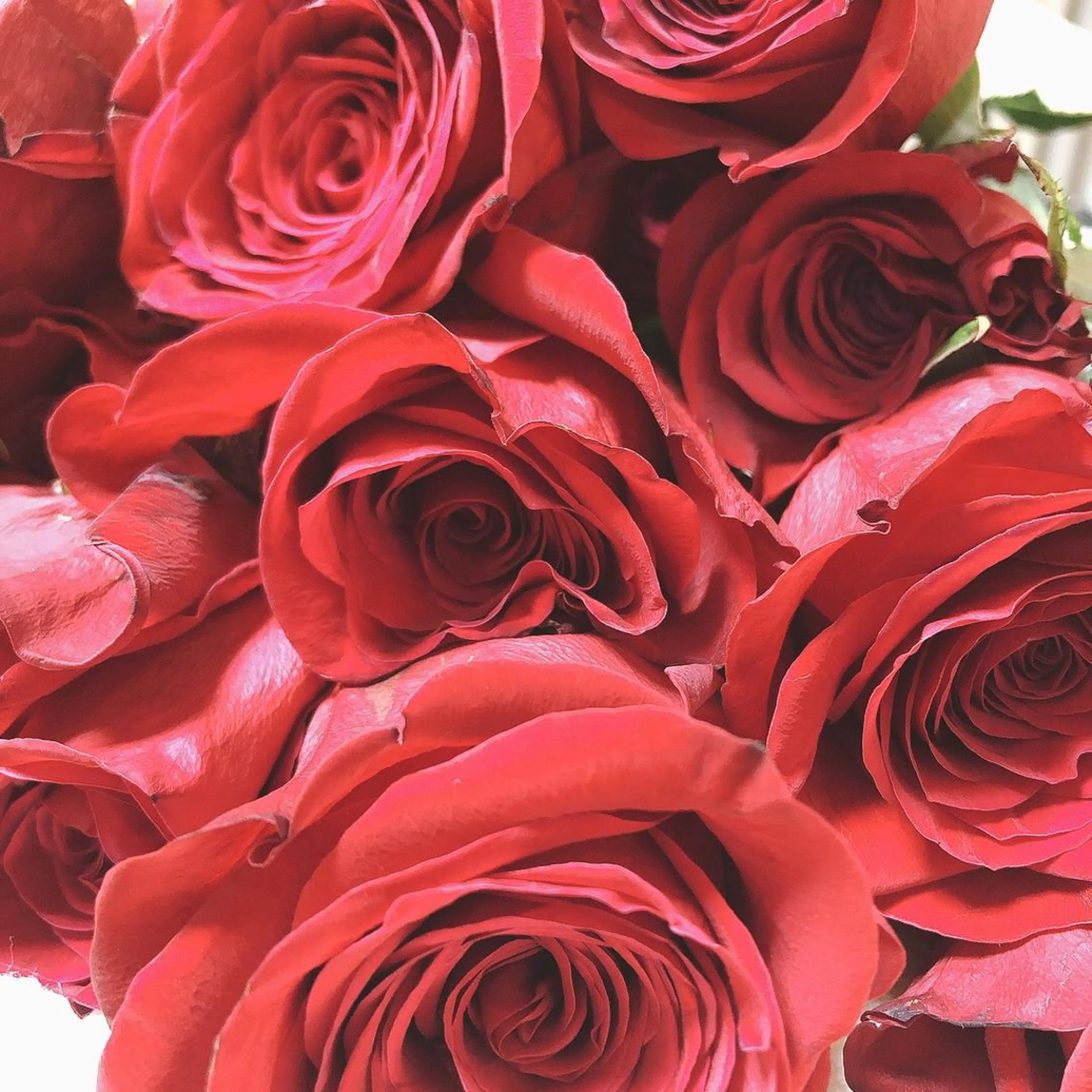 マツエク・マツパ なかむら 🪡のマツエク・マツパデザイン