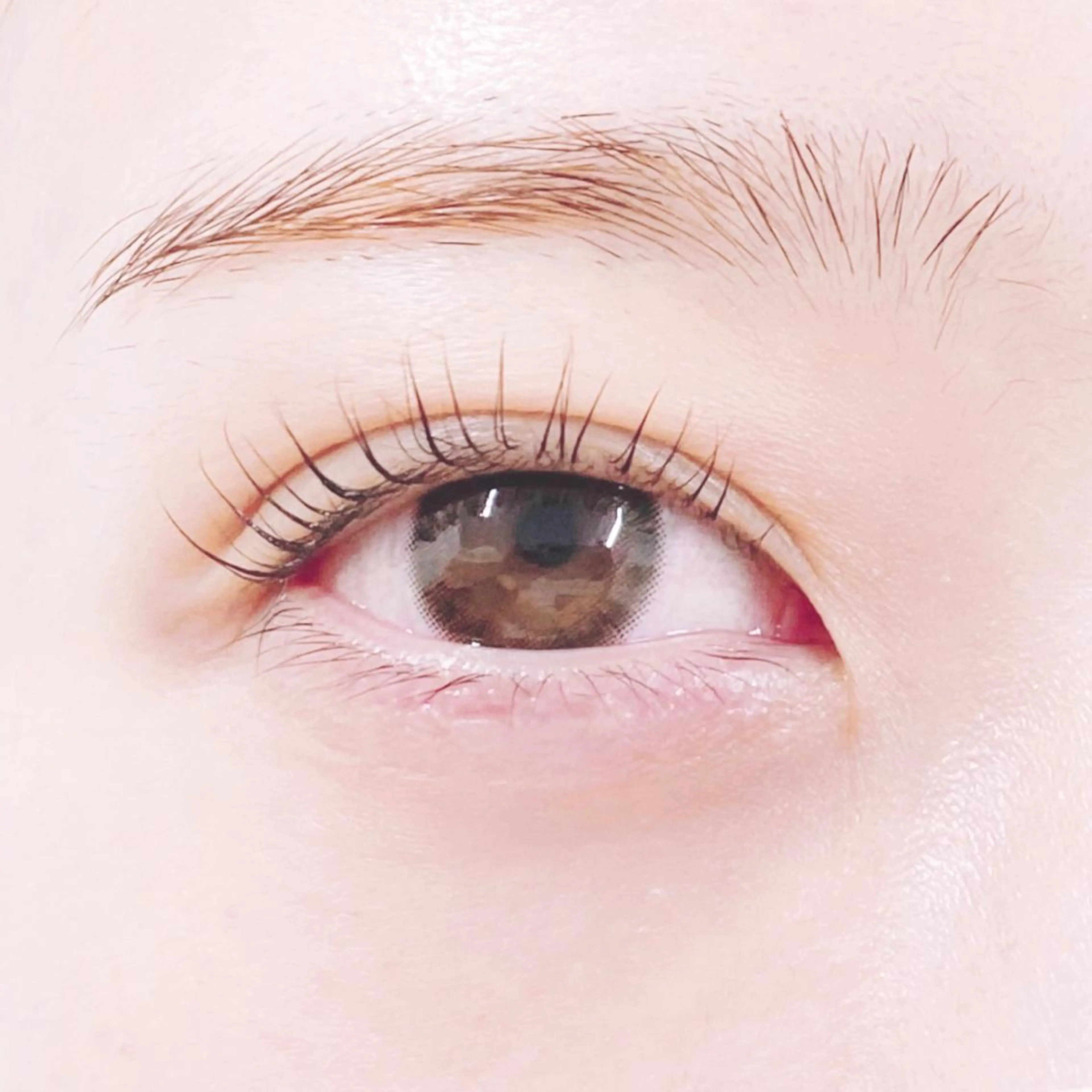 ☆ご新規様限定割引☆まつ毛パーマ(上のみ)の写真