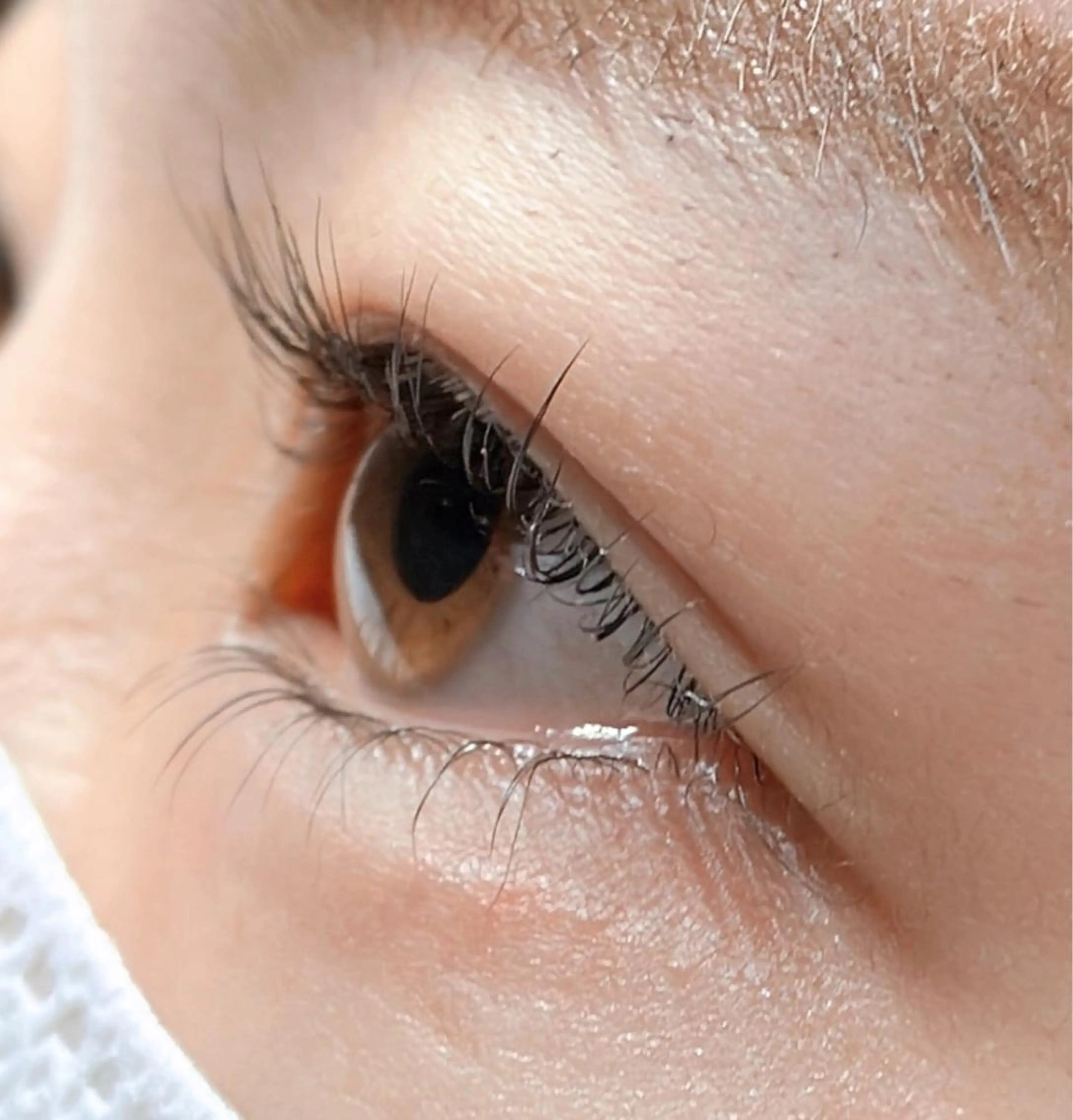 【お得🫧セットメニュー 上下パーマ】 パリジェンヌ&下まつげパーマの写真