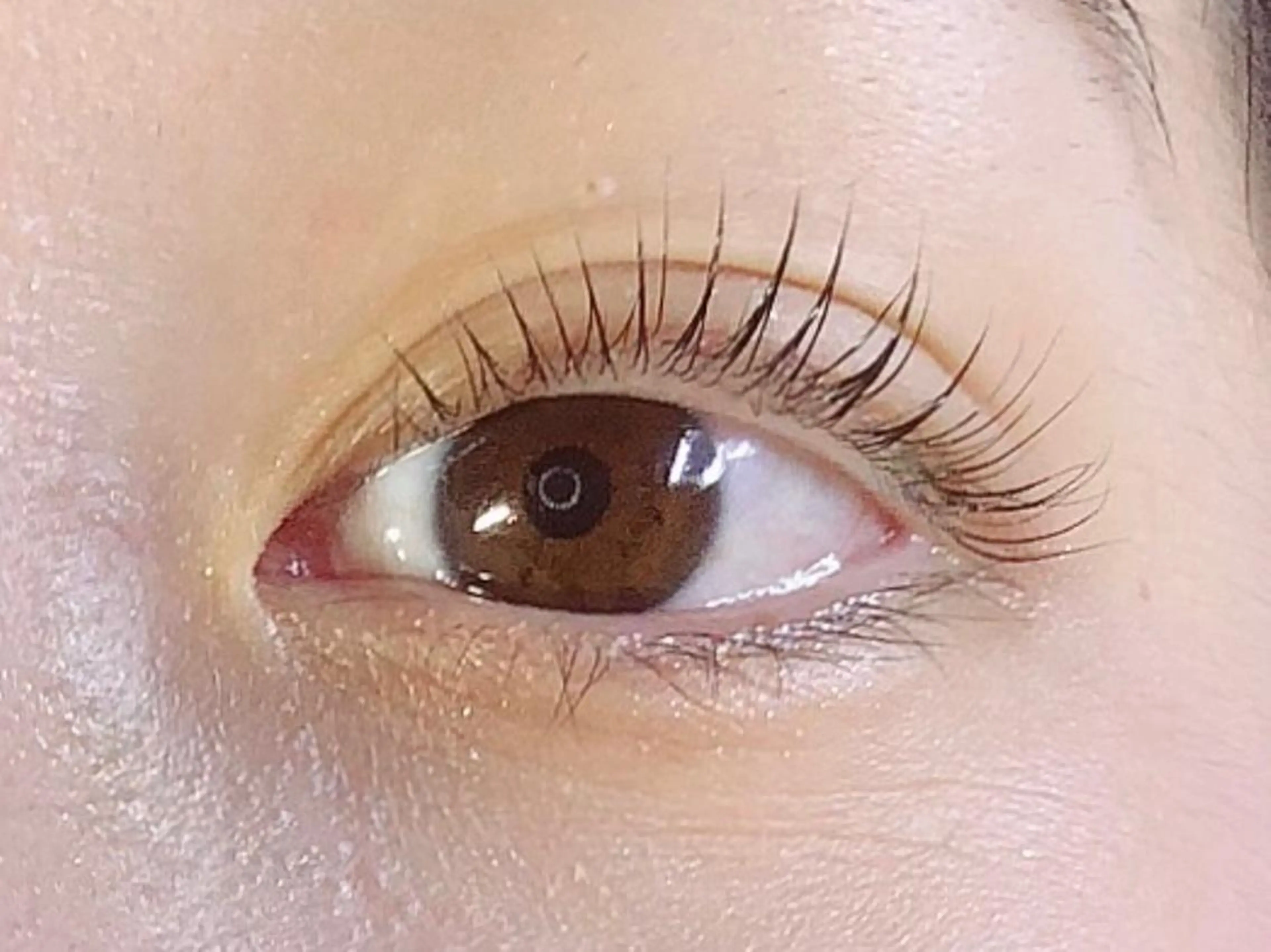 マツエク・マツパ Ange所属・Ange 𓍯 amiのマツエク・マツパデザイン