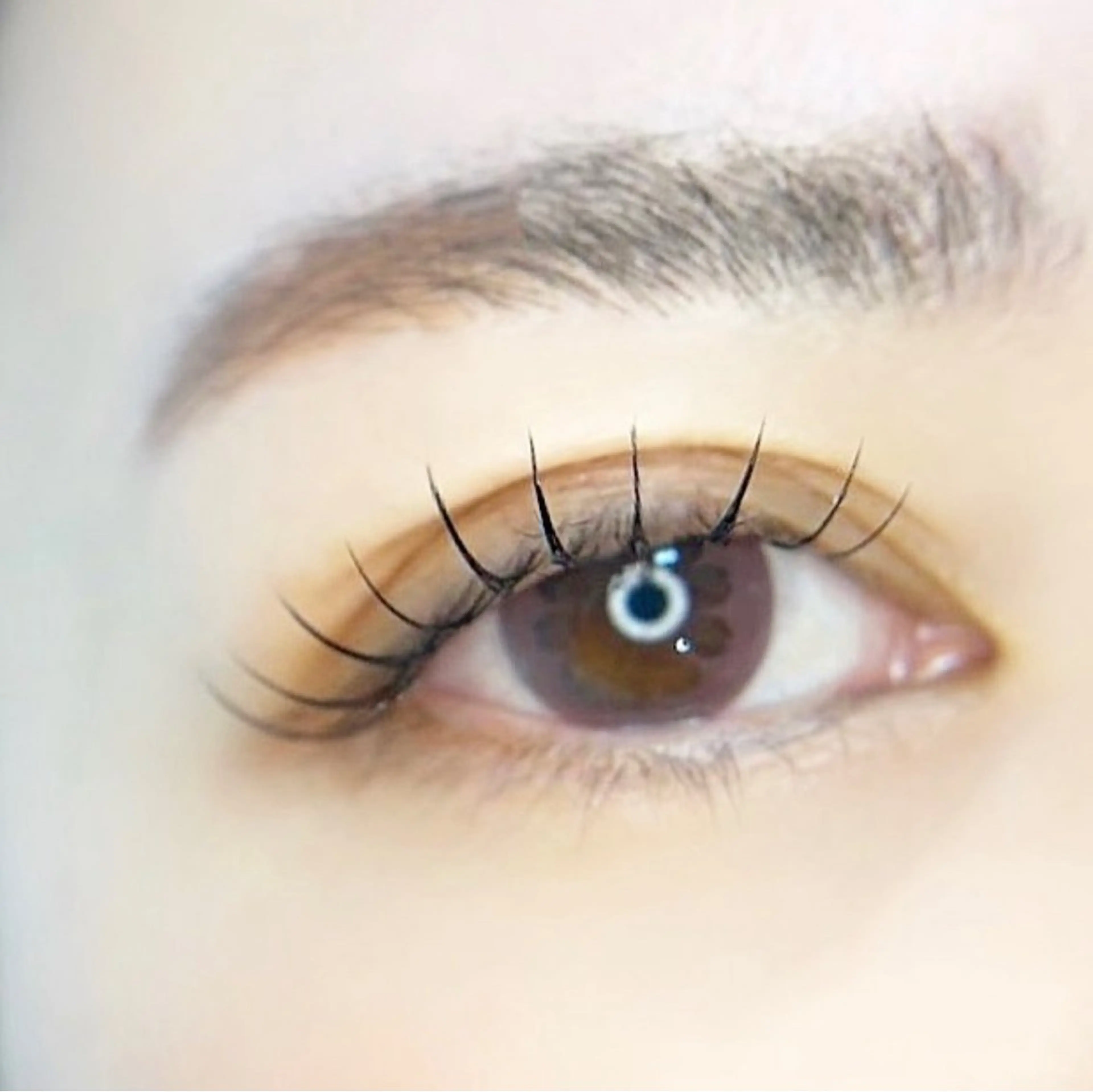 マツエク・マツパ 束感まつ毛 フラットラッシュ マツエク Moeil(ﾓｲﾕ)所属・Moeil. /ﾓｲﾕのマツエク・マツパデザイン