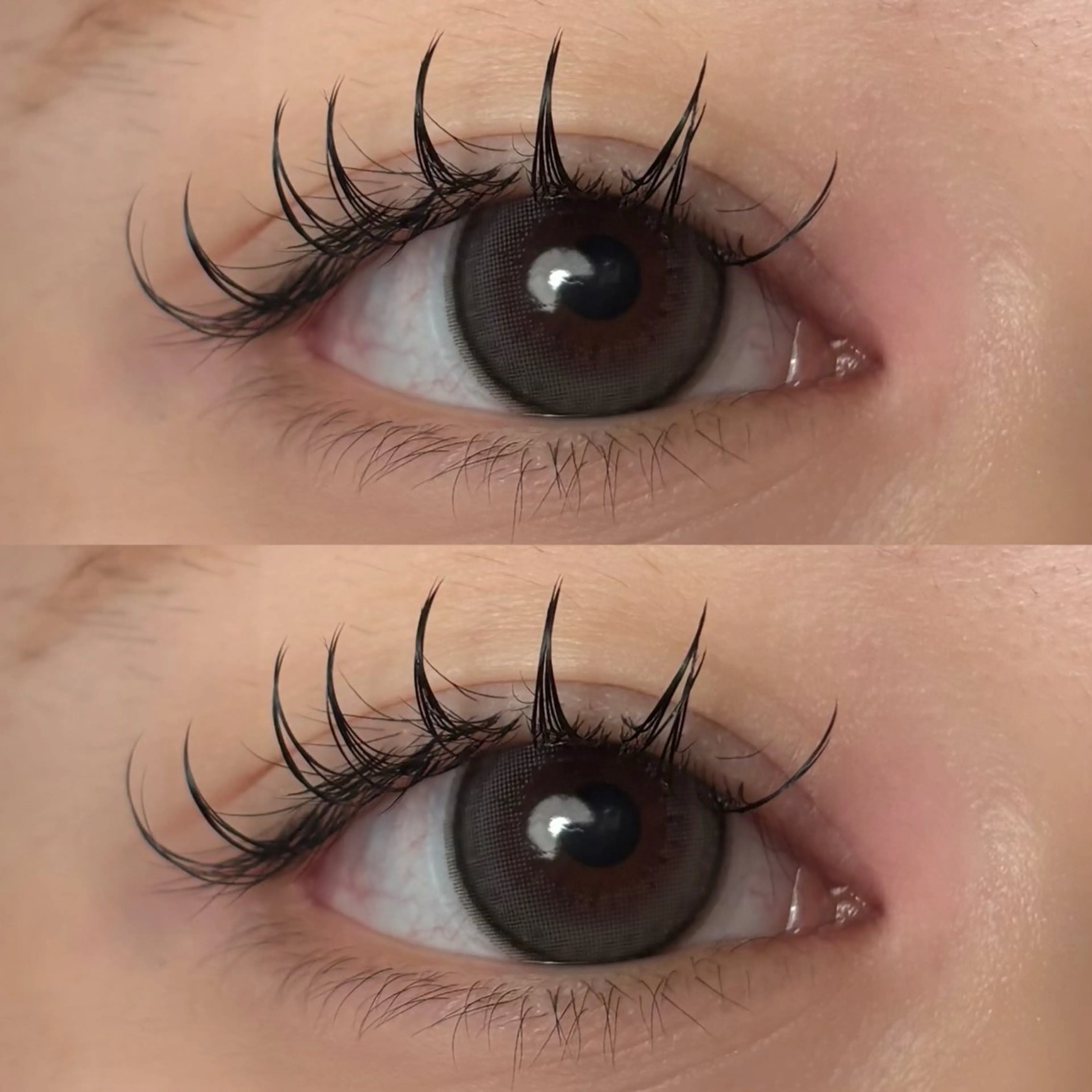 マツエク・マツパ フラットラッシュ マツエク 🍇chinatsu 🍇en Rêveのマツエク・マツパデザイン