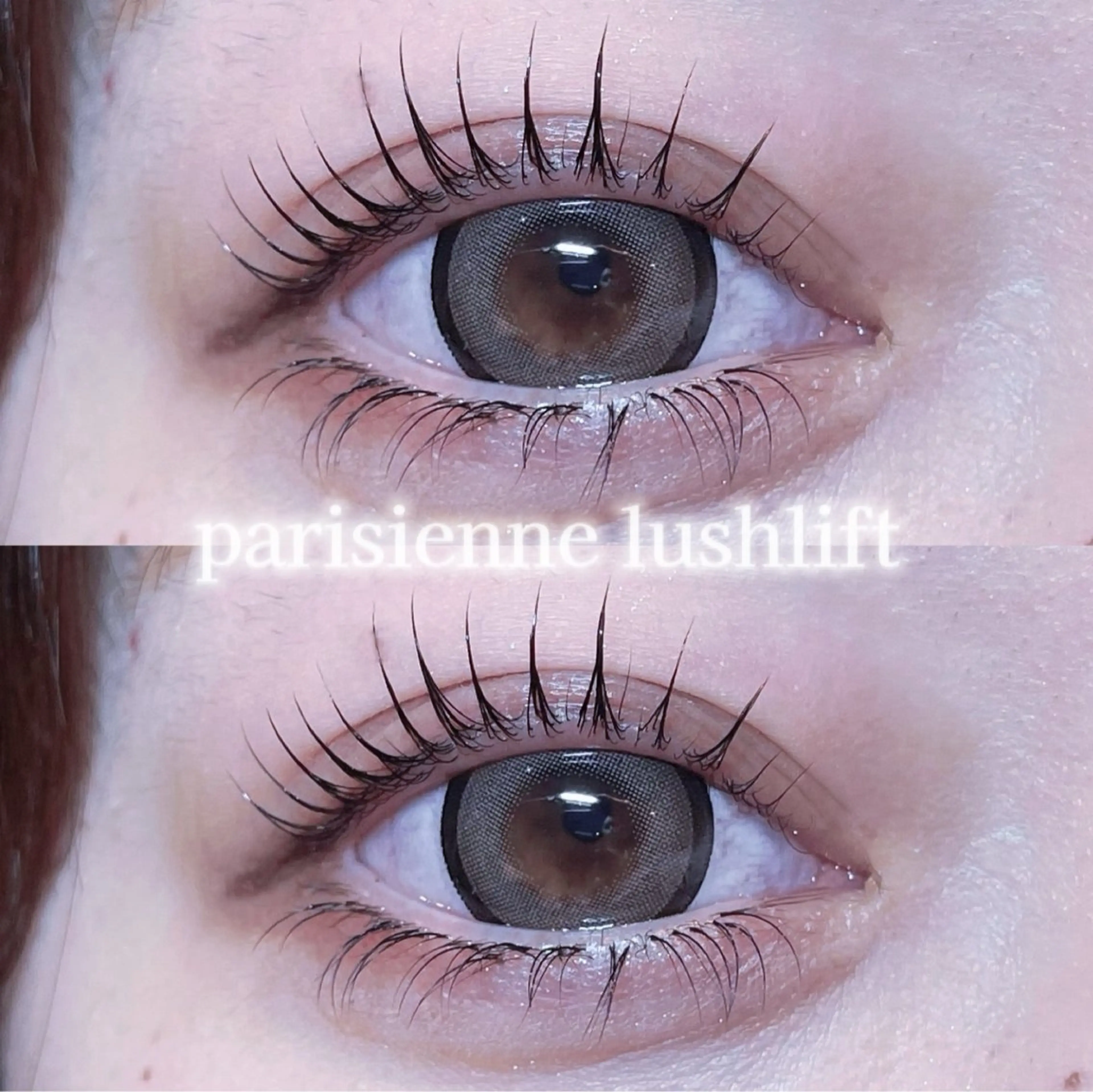 マツエク・マツパ パリジェンヌラッシュリフト まつげパーマ 一重×まつ毛パーマ ワンホンマツエク マツパ eyelash🩶 "YUMEKO"のマツエク・マツパデザイン