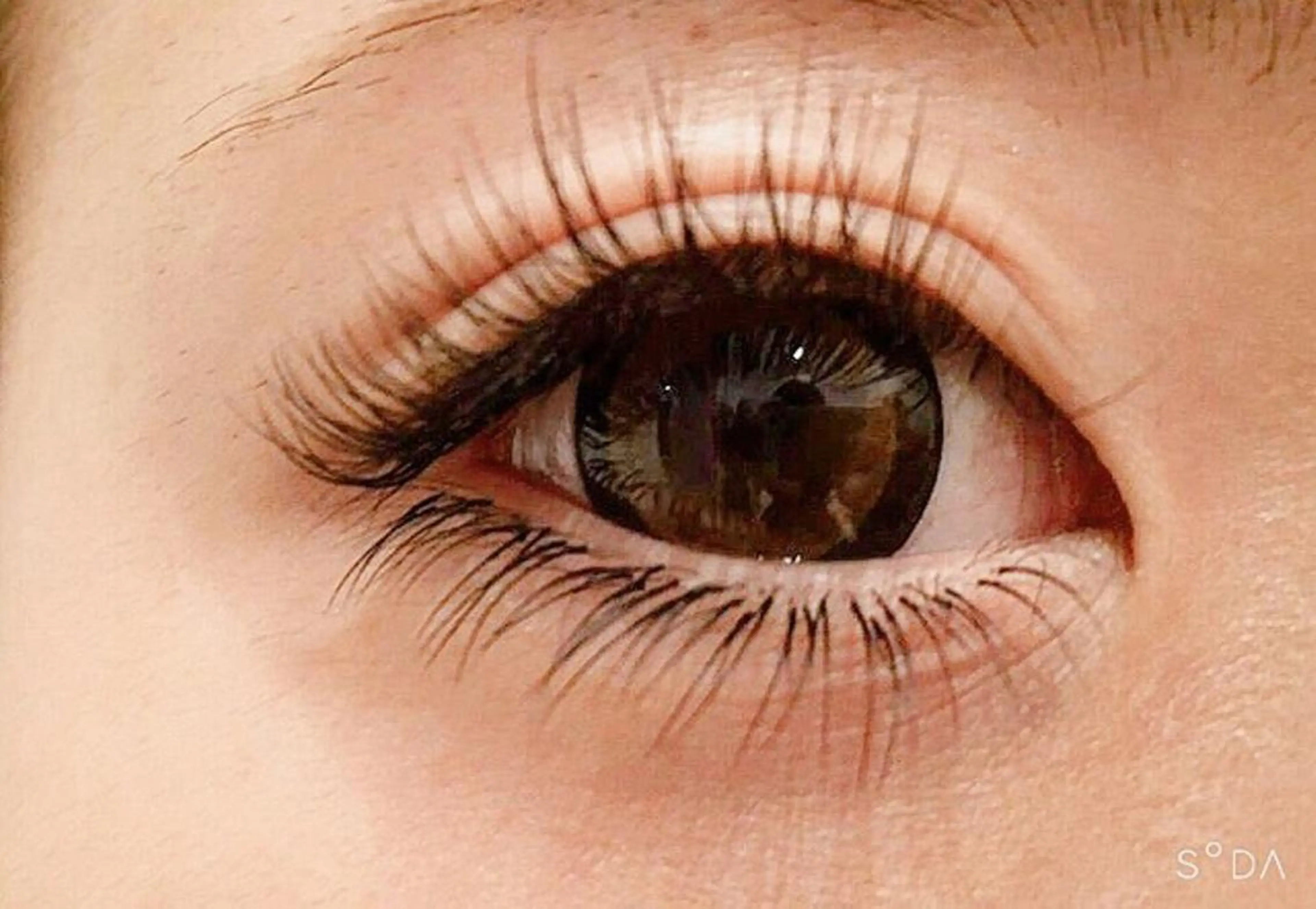 マツエク・マツパ フラットラッシュ Loy la long所属・Loylalong ロイラロンの眉毛・アイブロウイメージ