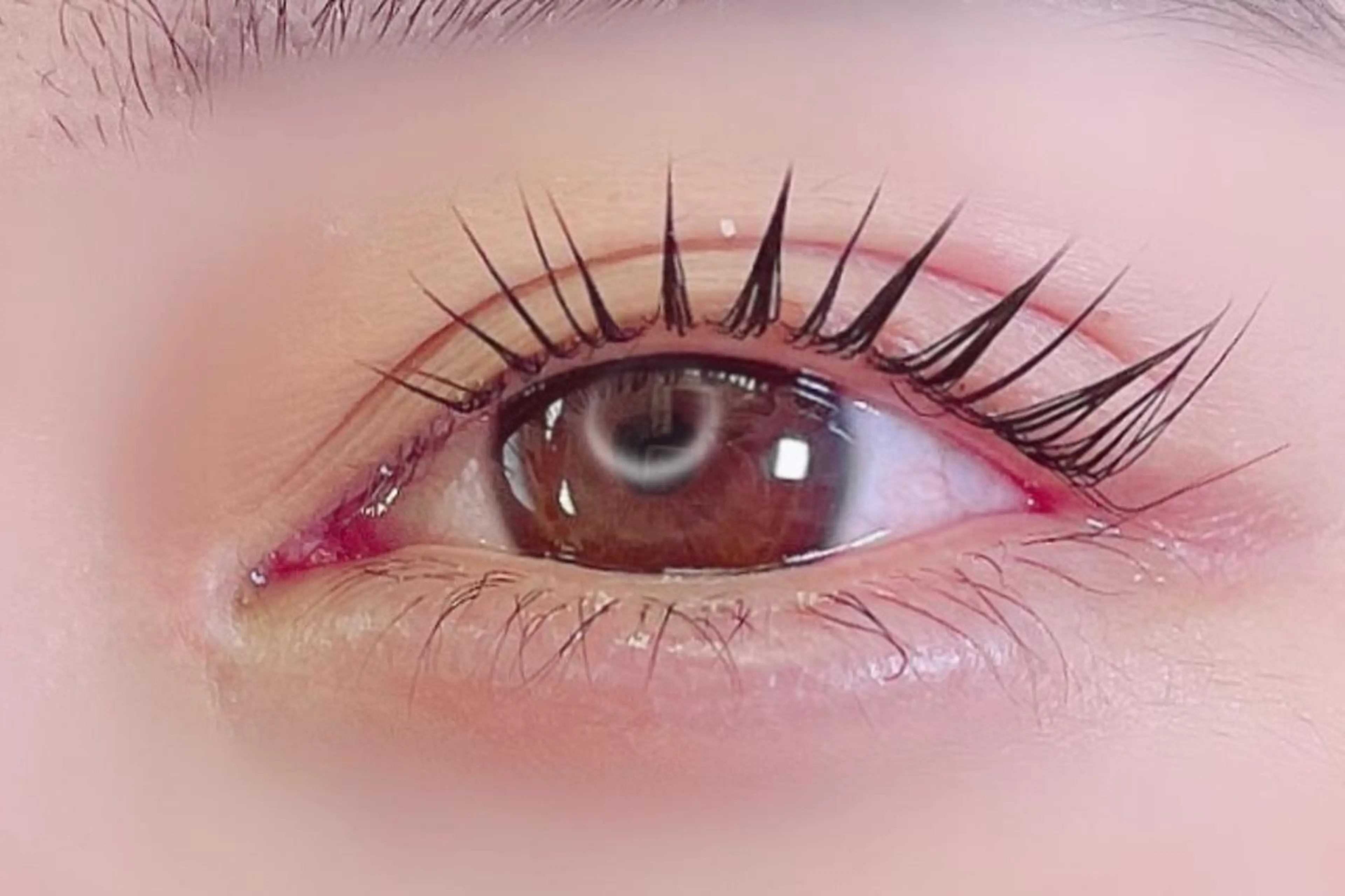 マツエク・マツパ マツパ 大阪福島 韓国まつげ Sayaka🤍🐩のマツエク・マツパデザイン