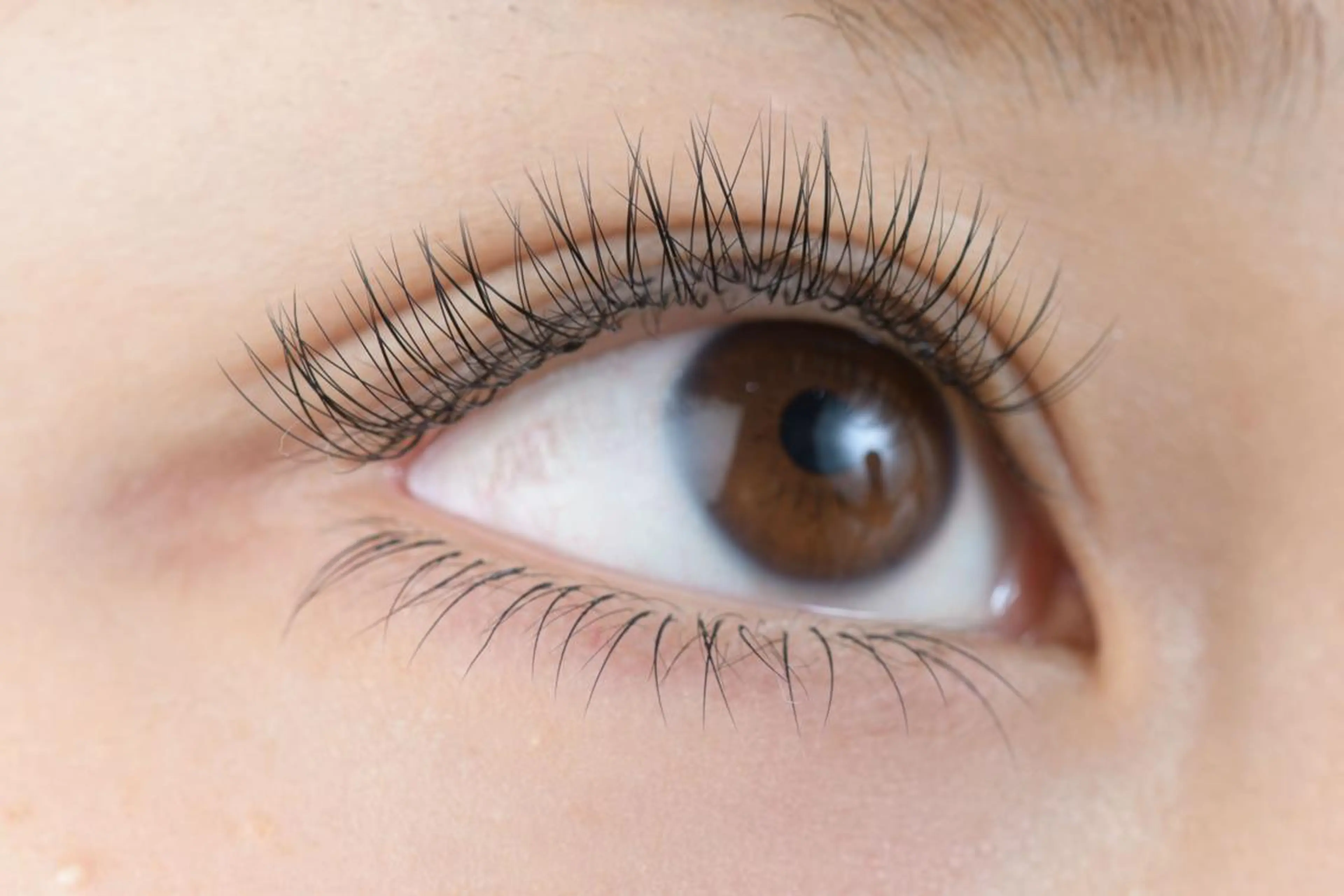 🌼3Dボリュームラッシュ&フラットラッシュMIX100束まで《オフ込み》の写真