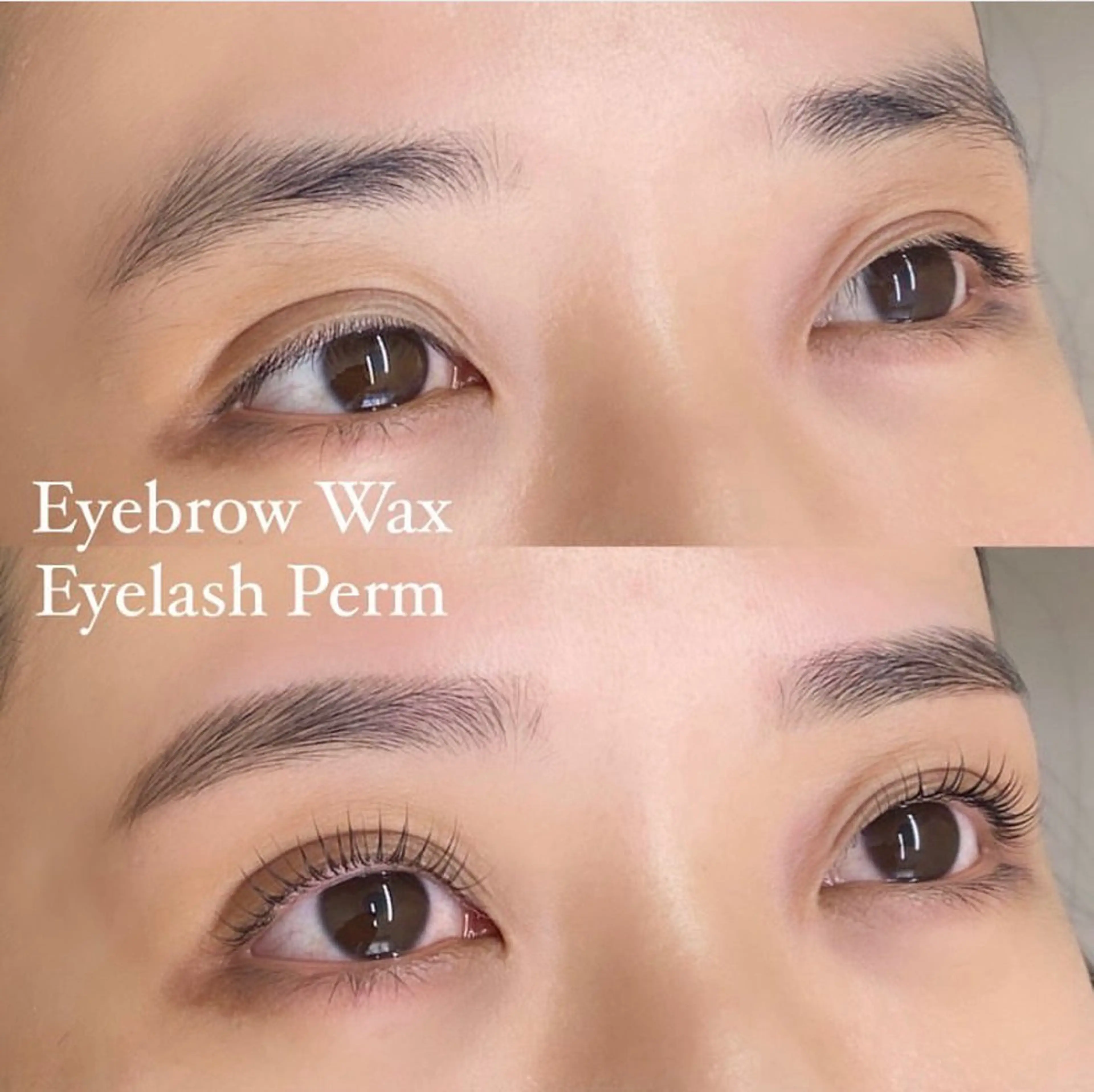 🌸🎓再来限定🎓🌸アイブロウWax＆まつ毛パーマ🉐¥9,180(メイク無)🔥1.5ヶ月以内来店で500円引🔥の写真