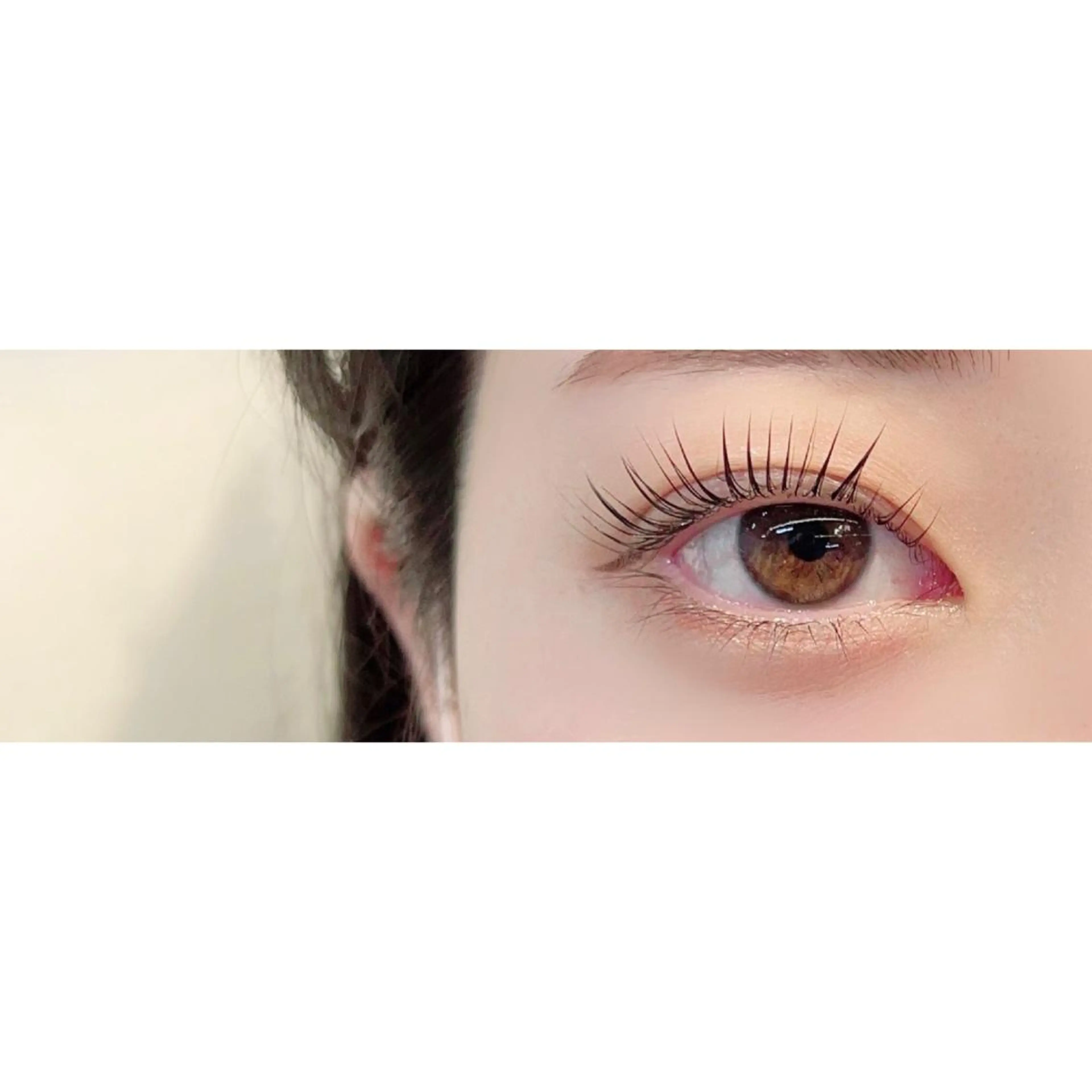 🐻‍❄️ご新規様限定🤎選べるラッシュリフト(パリジェンヌラッシュリフトｏｒケラチンラッシュリフト)の写真