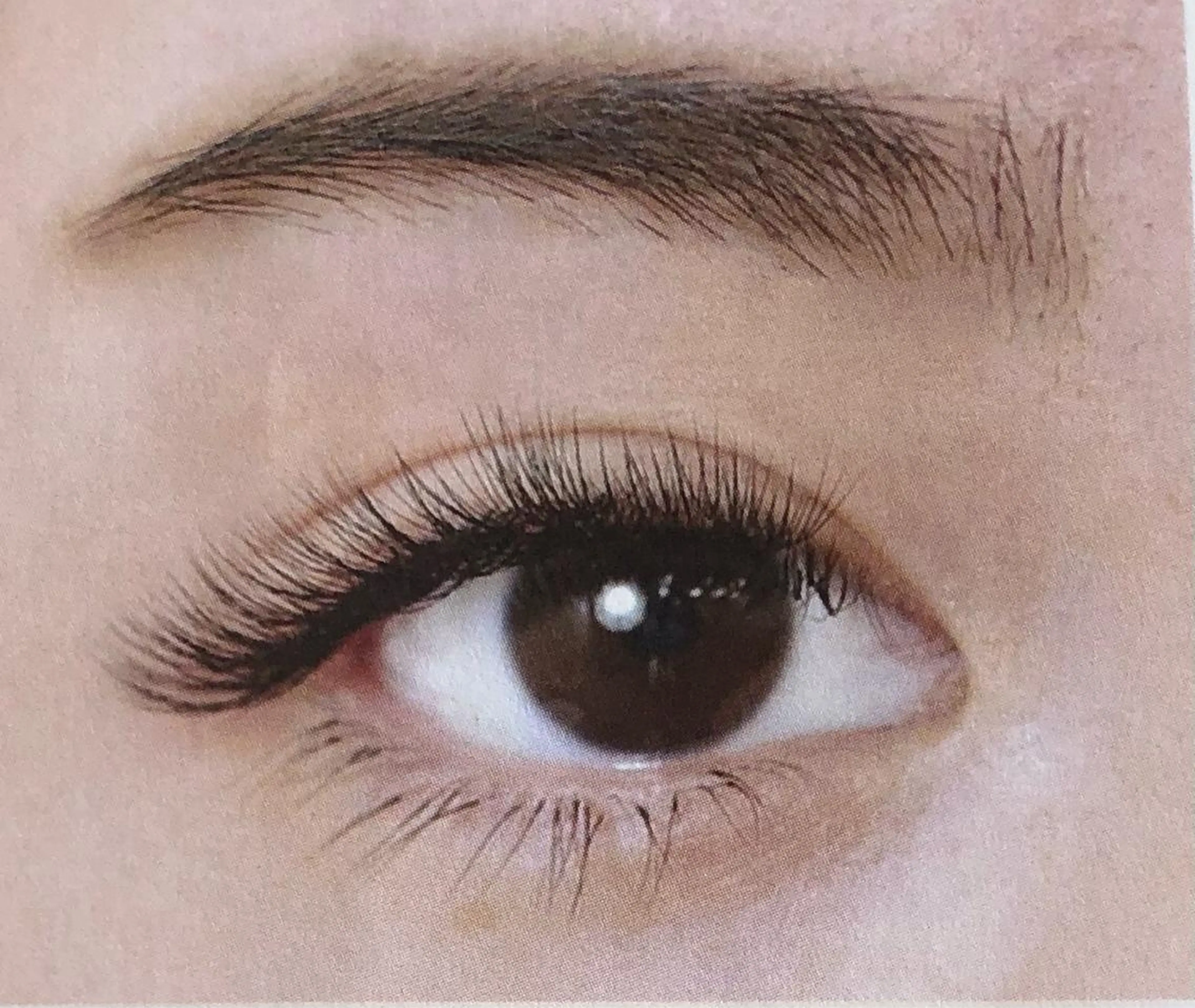 マツエク・マツパ マツエク Lucia 小川のマツエク・マツパデザイン