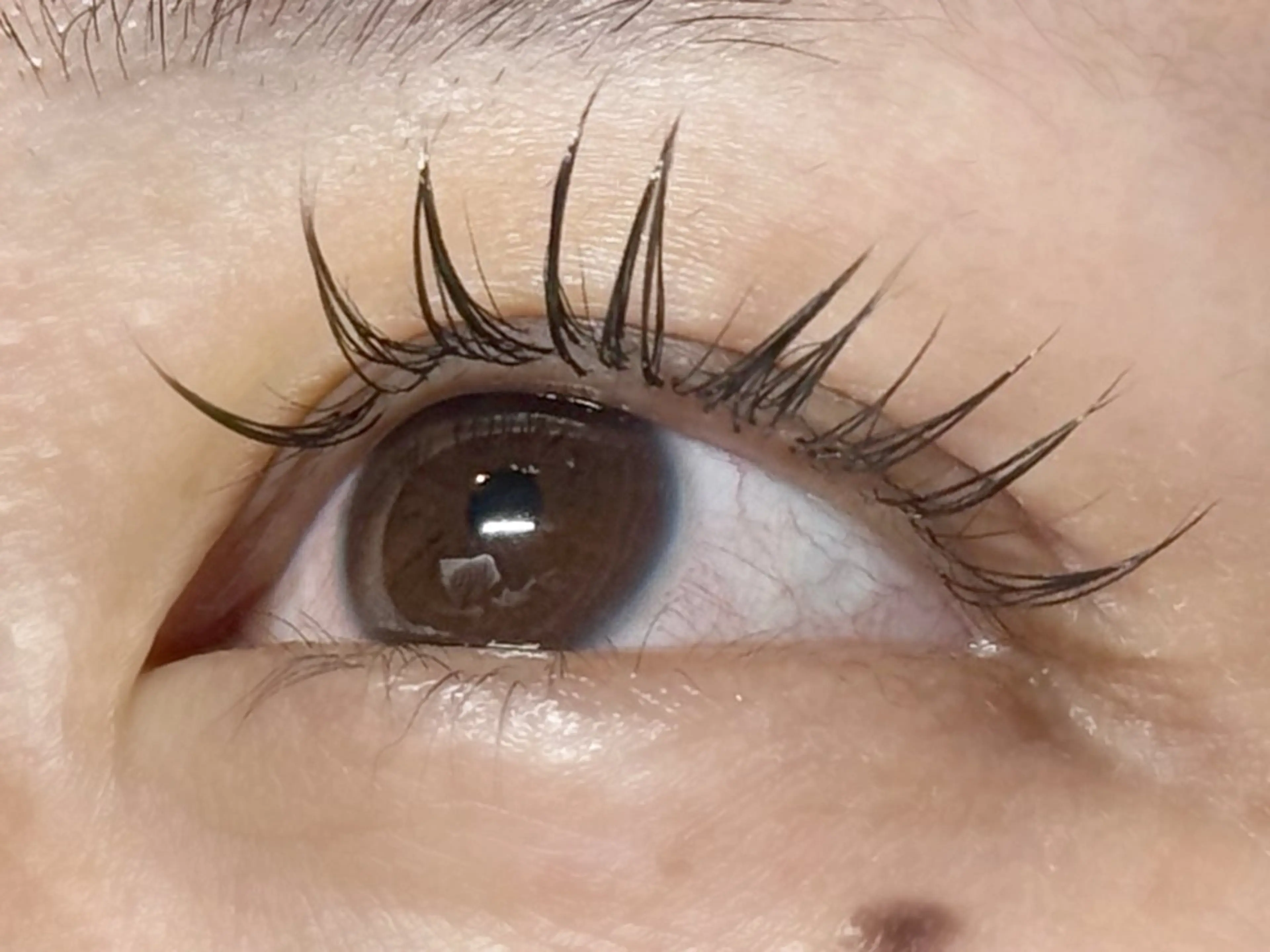 【モデル】シングルエクステ​〜​120本までの写真