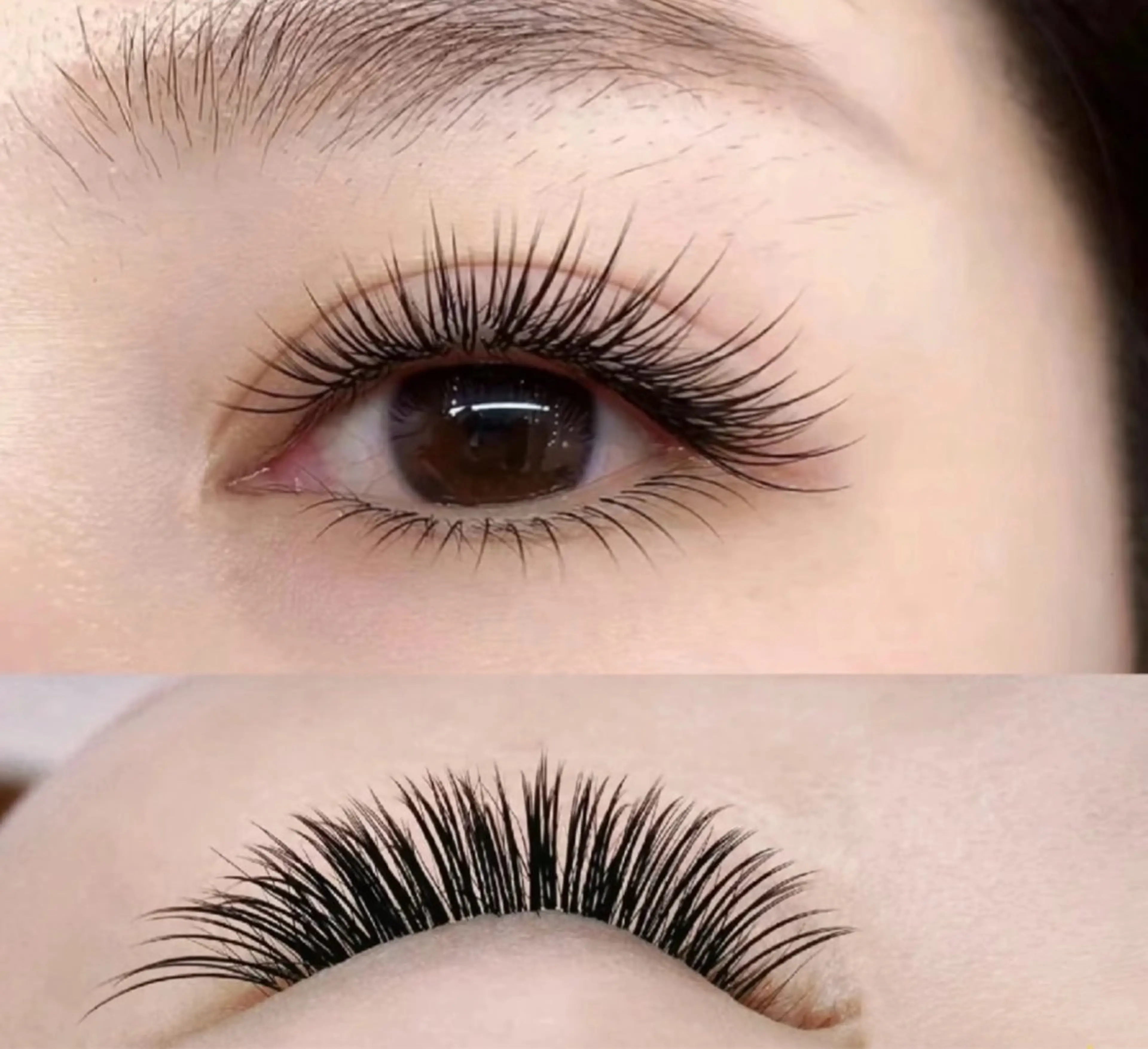 バインドロック 60束の写真