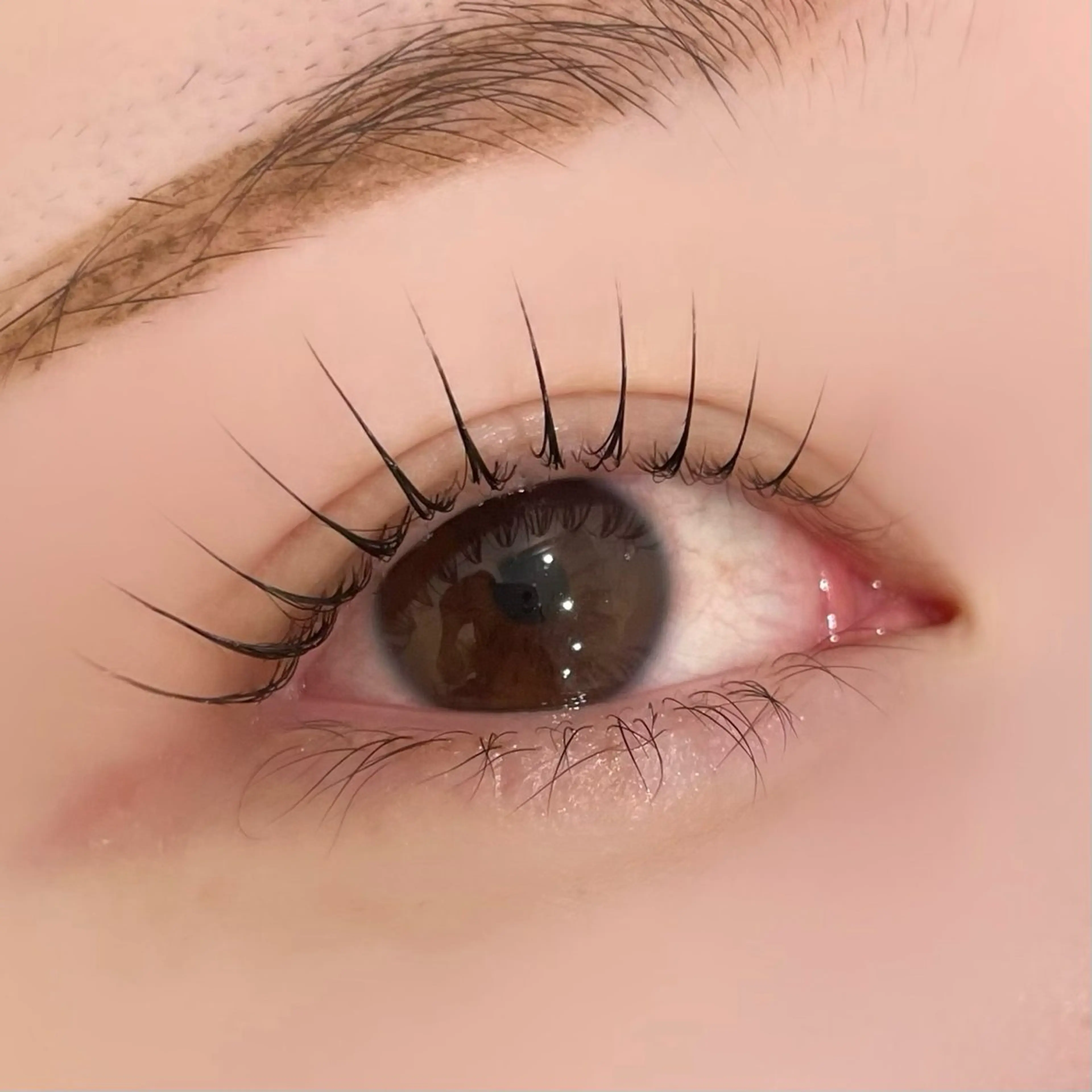 マツエク・マツパ マツパ 束感まつ毛/眉毛 /Kaedeのマツエク・マツパデザイン