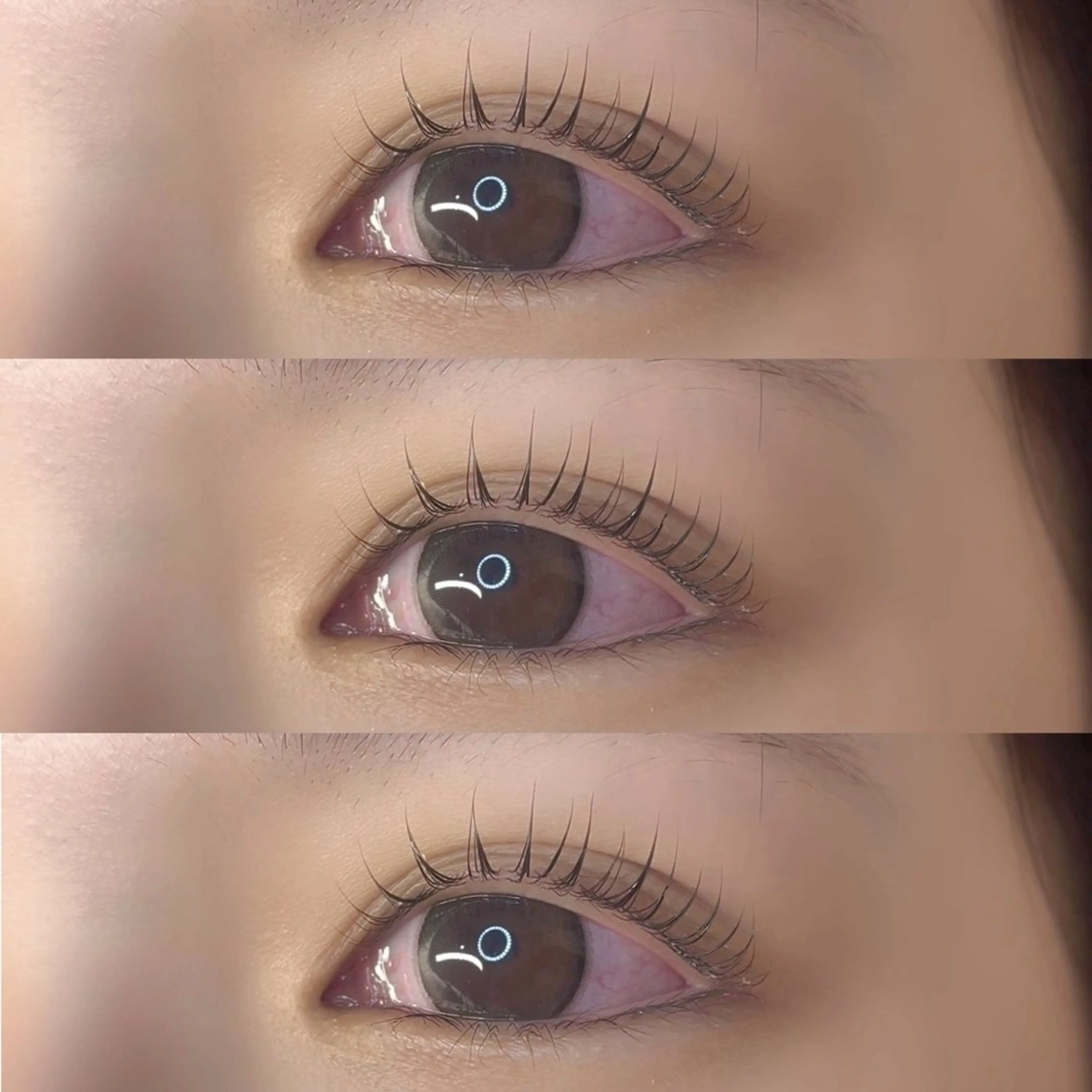 ãããšã¯ã»ããã IKUMI ãð®ð¥ð®ãã®ãããšã¯ã»ããããã¶ã€ã³