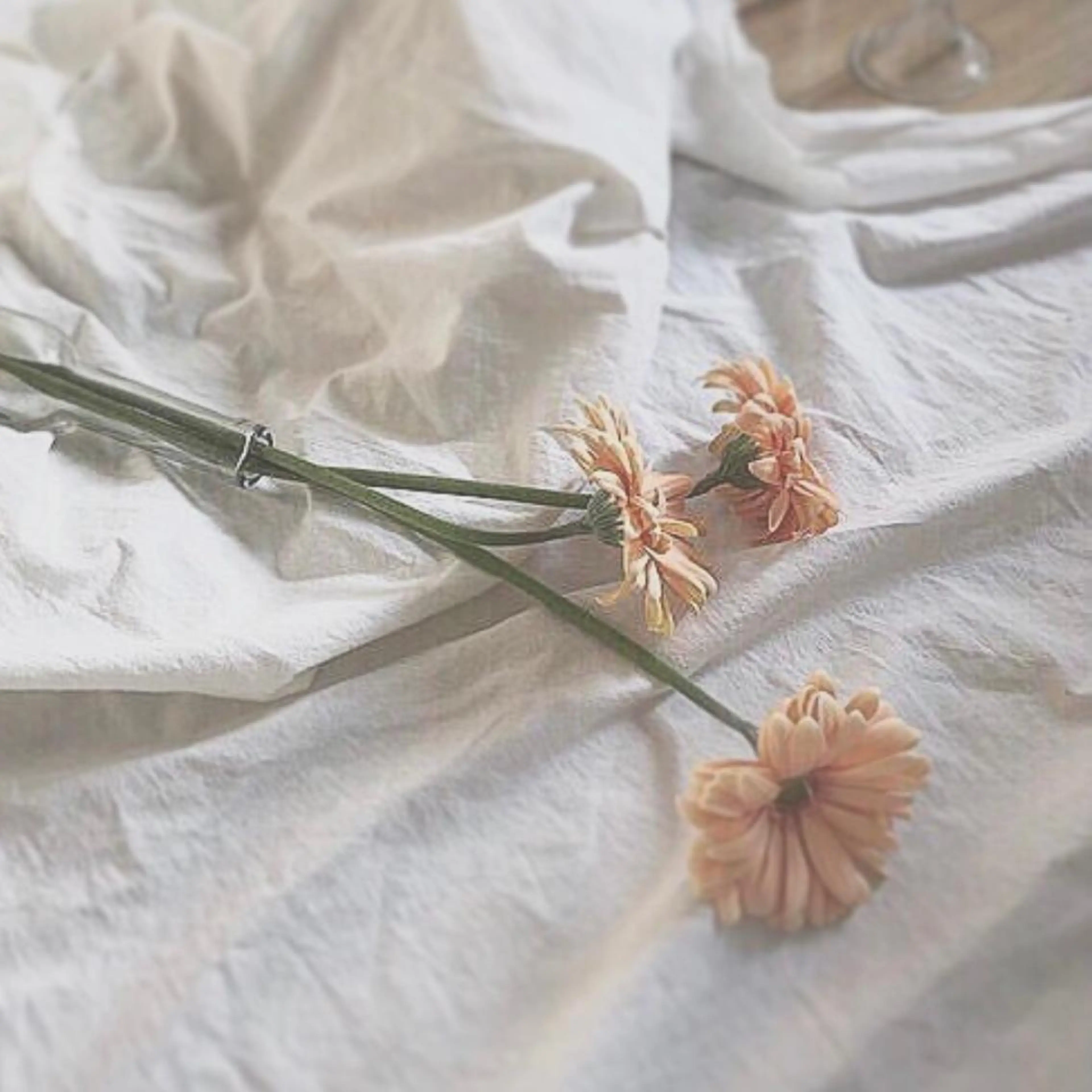 Ai Quick 北千住🌿saitoの眉毛・アイブロウイメージ