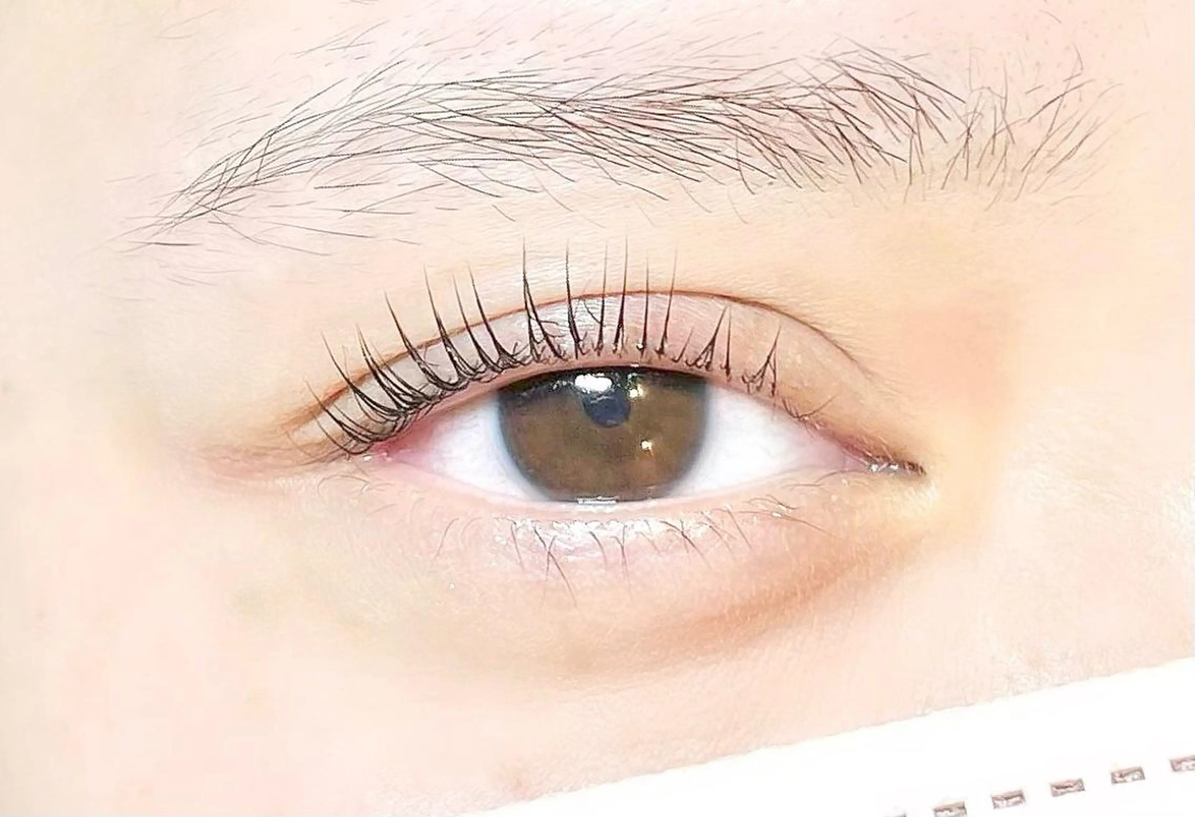 マツエク・マツパ パリジェンヌラッシュリフト 🍒眉毛/まつ毛 Sanaの眉毛・アイブロウイメージ