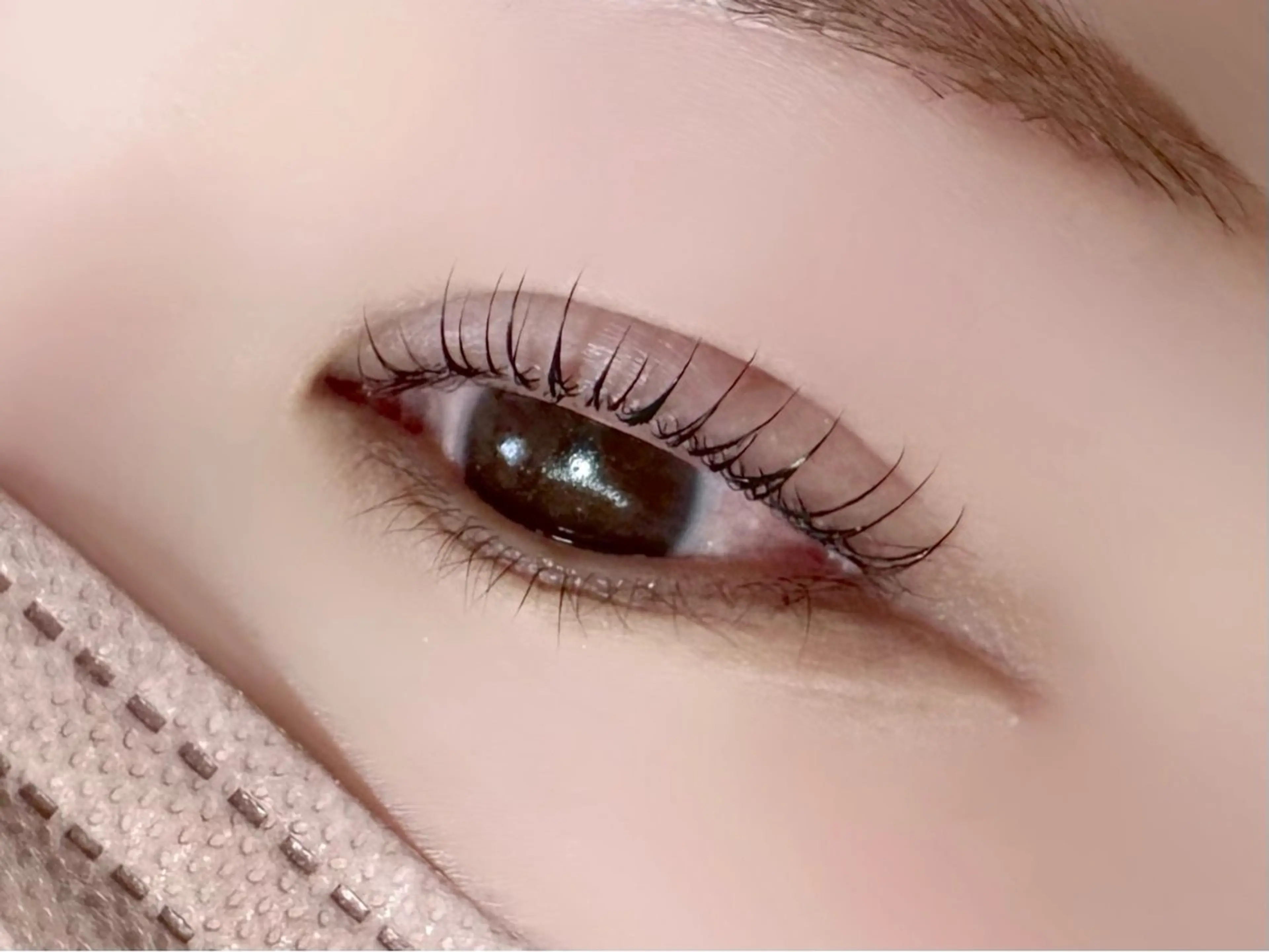 【🌼技術向上モデル🌼】 まつ毛パーマ/ラッシュリフトの写真