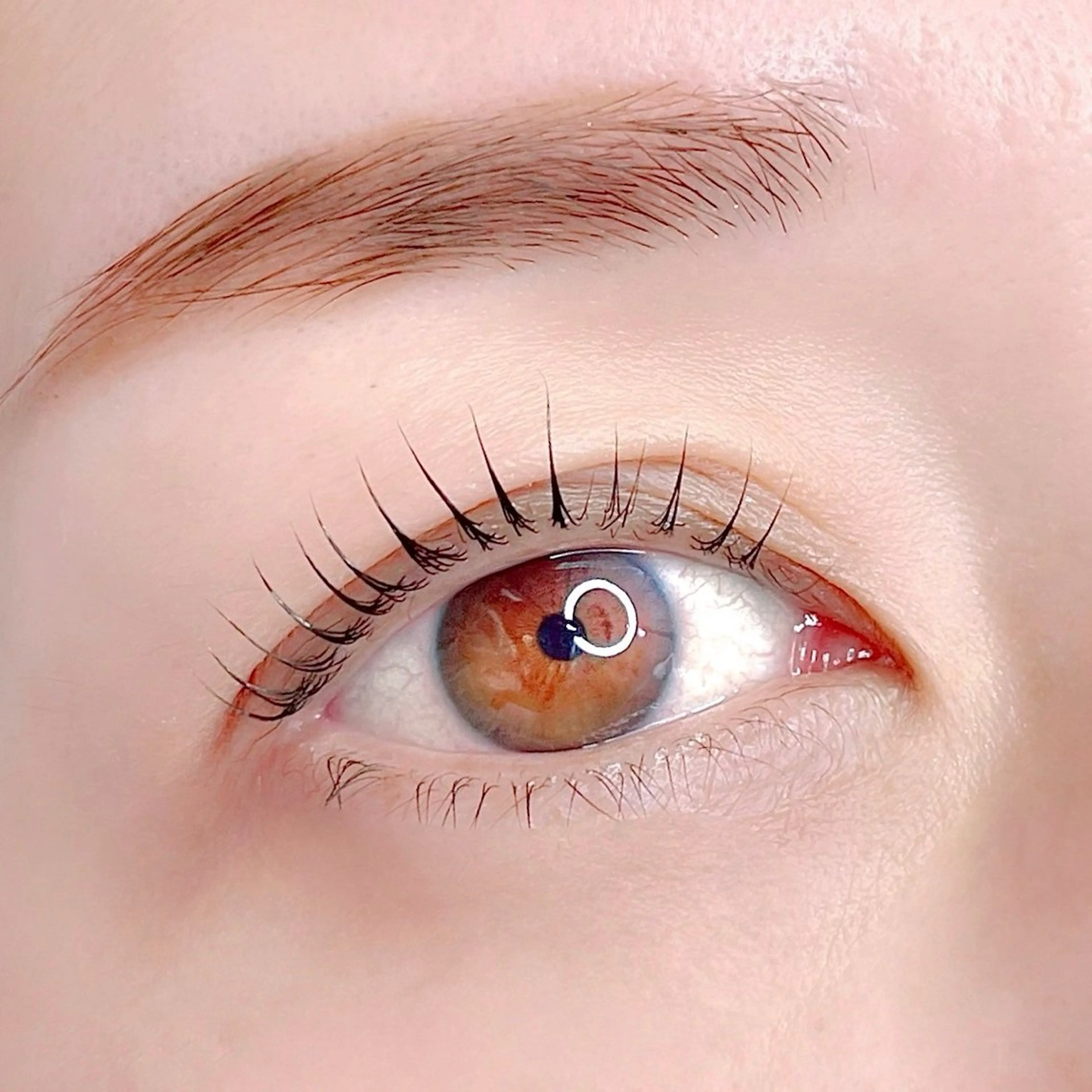 下まつげパーマ🌼(練習モデル)の写真