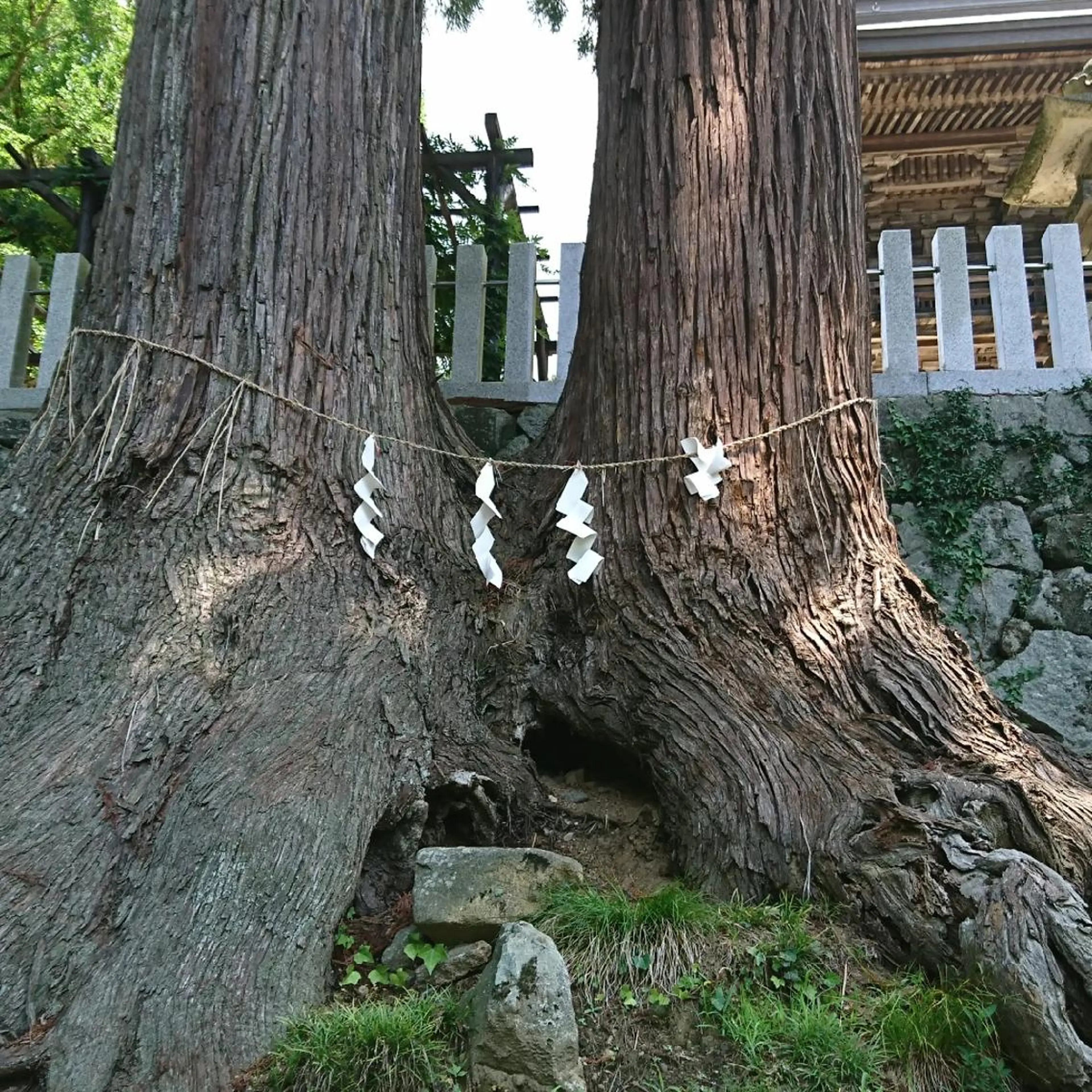 g*rossa高橋 くみこのエステ・リラクイメージ