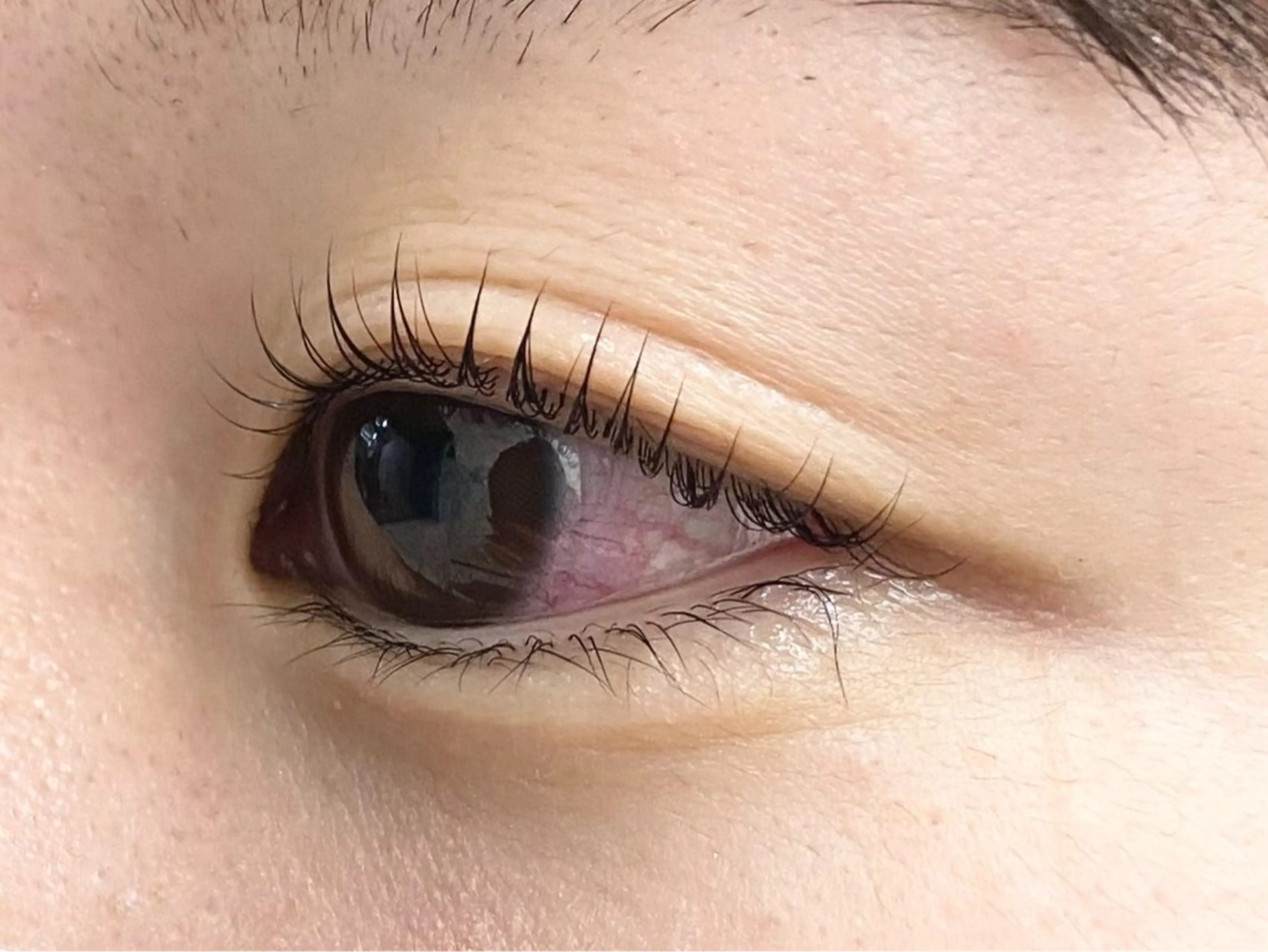 マツエク・マツパ メンズ眉毛サロンSENSE 津田沼所属・SENSE 津田沼 YUIKAの眉毛・アイブロウイメージ