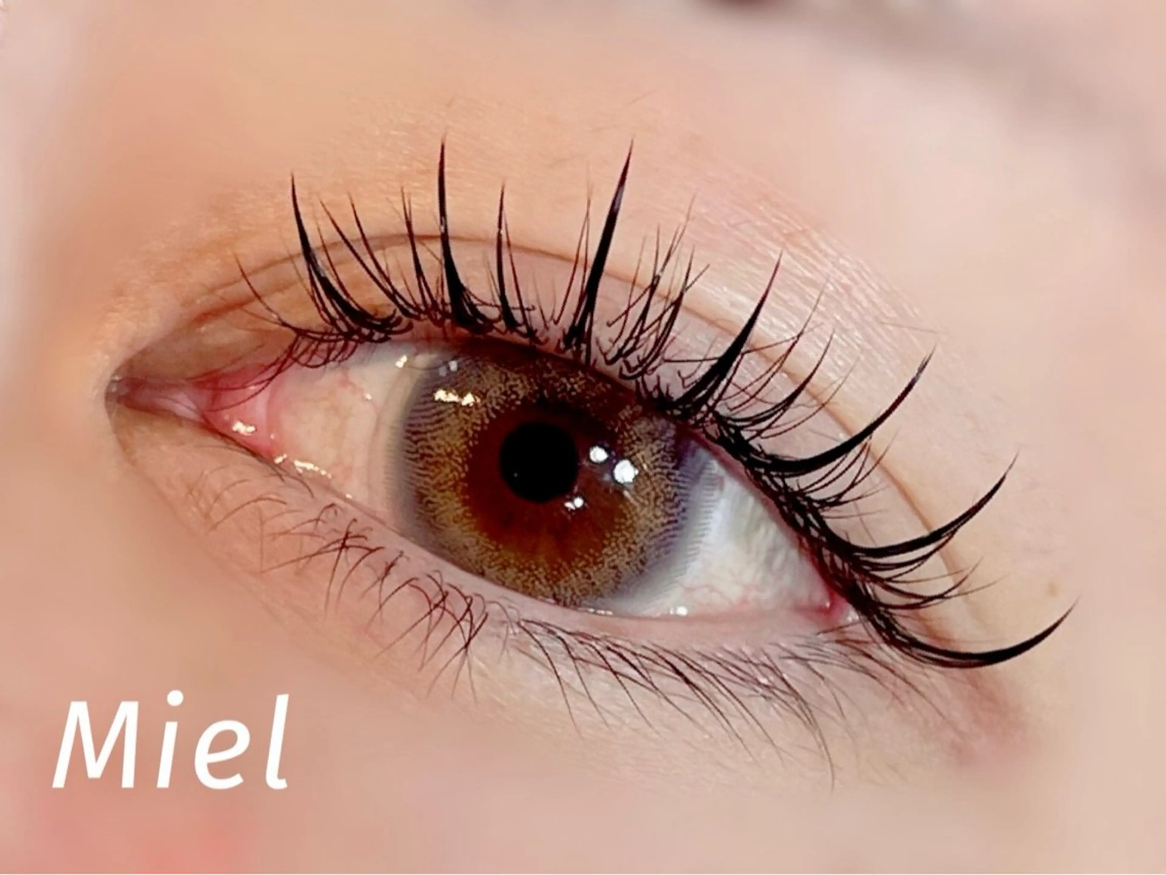 マツエク・マツパ カラーマツエク フラットラッシュ ボリュームラッシュ ワンホンマツエク Mori ✨Mystical✨のマツエク・マツパデザイン