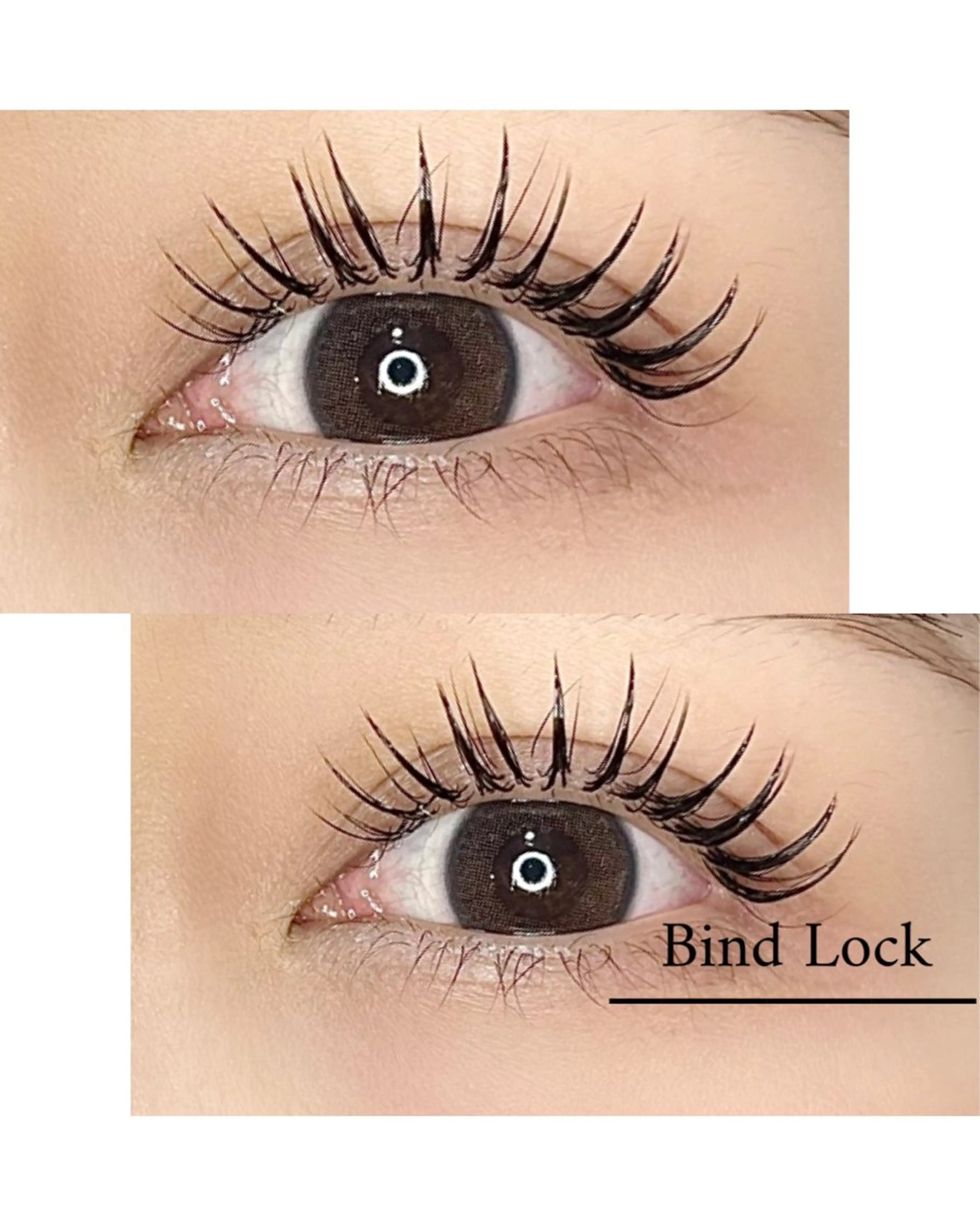 ãããšã¯ã»ããã ãããšã¯ ððŠð® .ã®ãããšã¯ã»ããããã¶ã€ã³