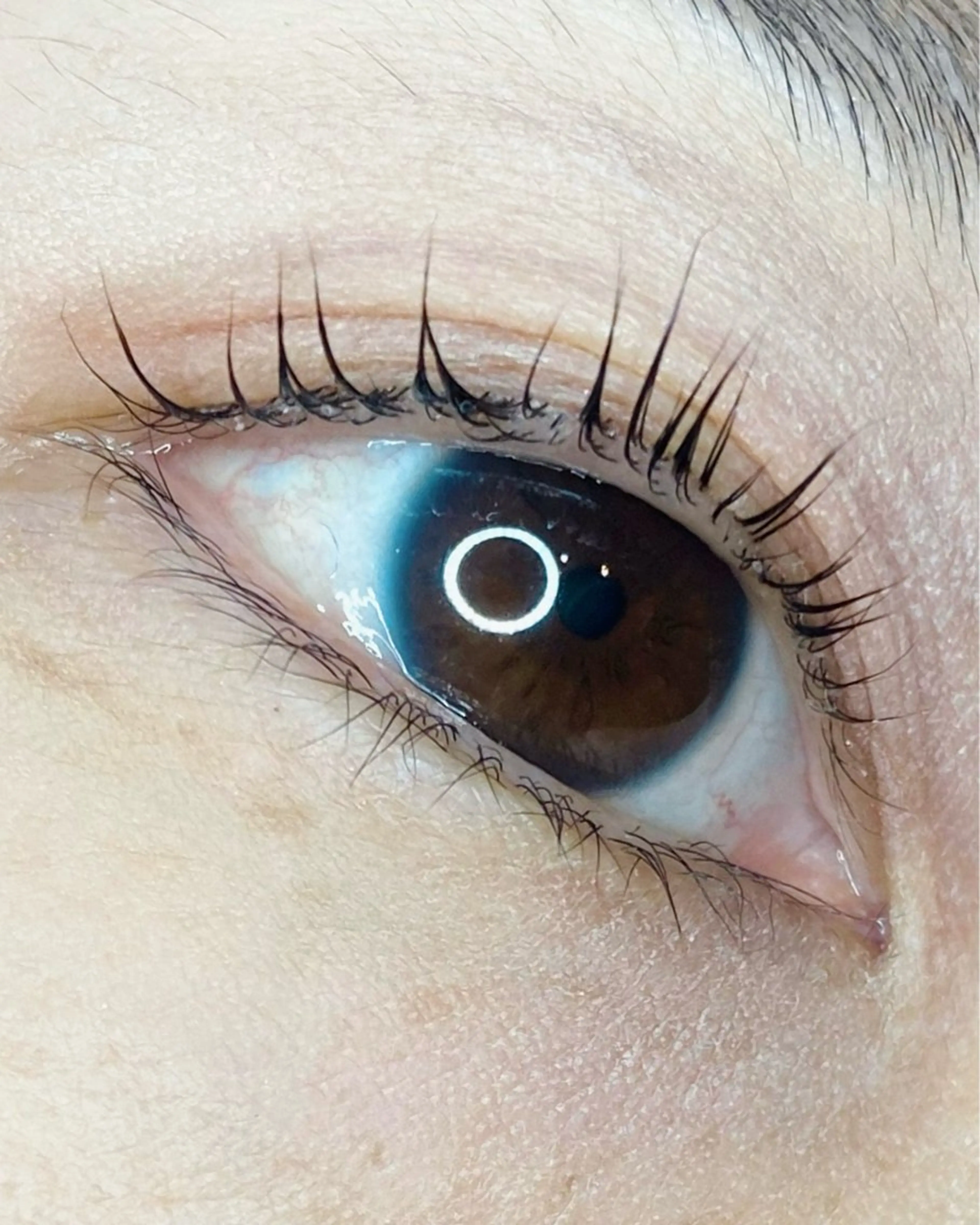 【平日限定】当日予約👍カールが選べるマツパ🌱まつ毛ダニ予防アイシャンプー付き!の写真