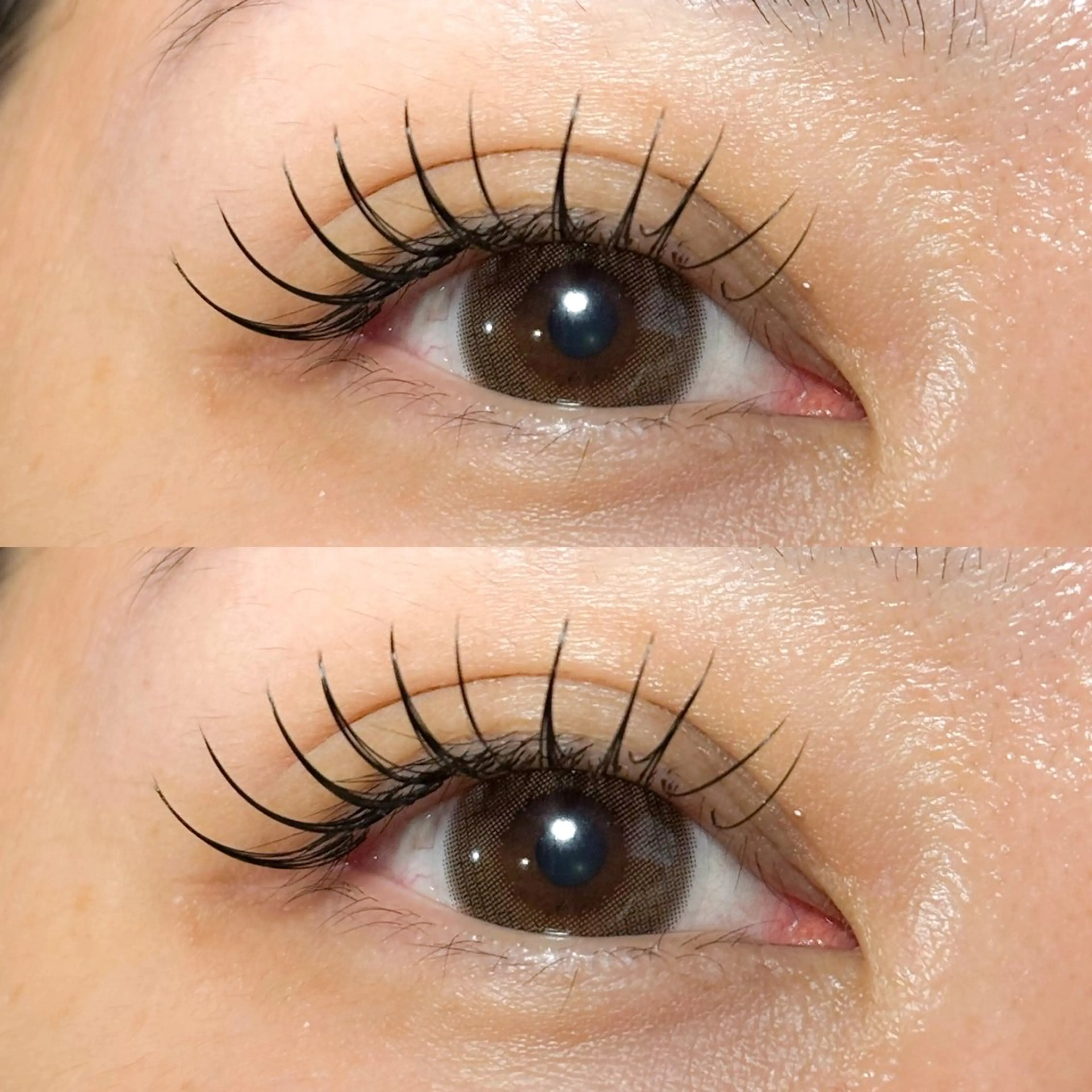 マツエク・マツパ マツエク 向井 萌華の眉毛・アイブロウイメージ