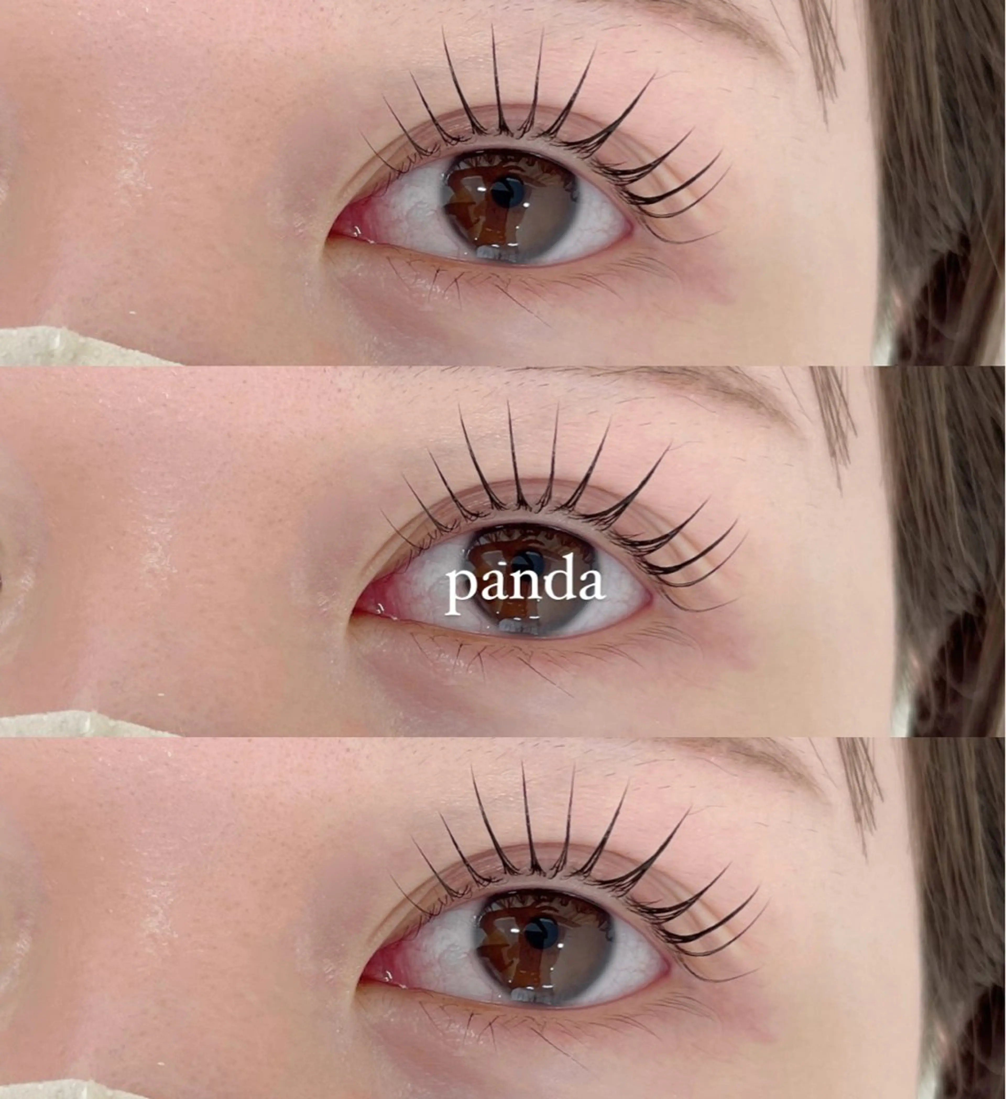 【前日・当日予約限定】韓国/選べるまつげパーマ🌿の写真