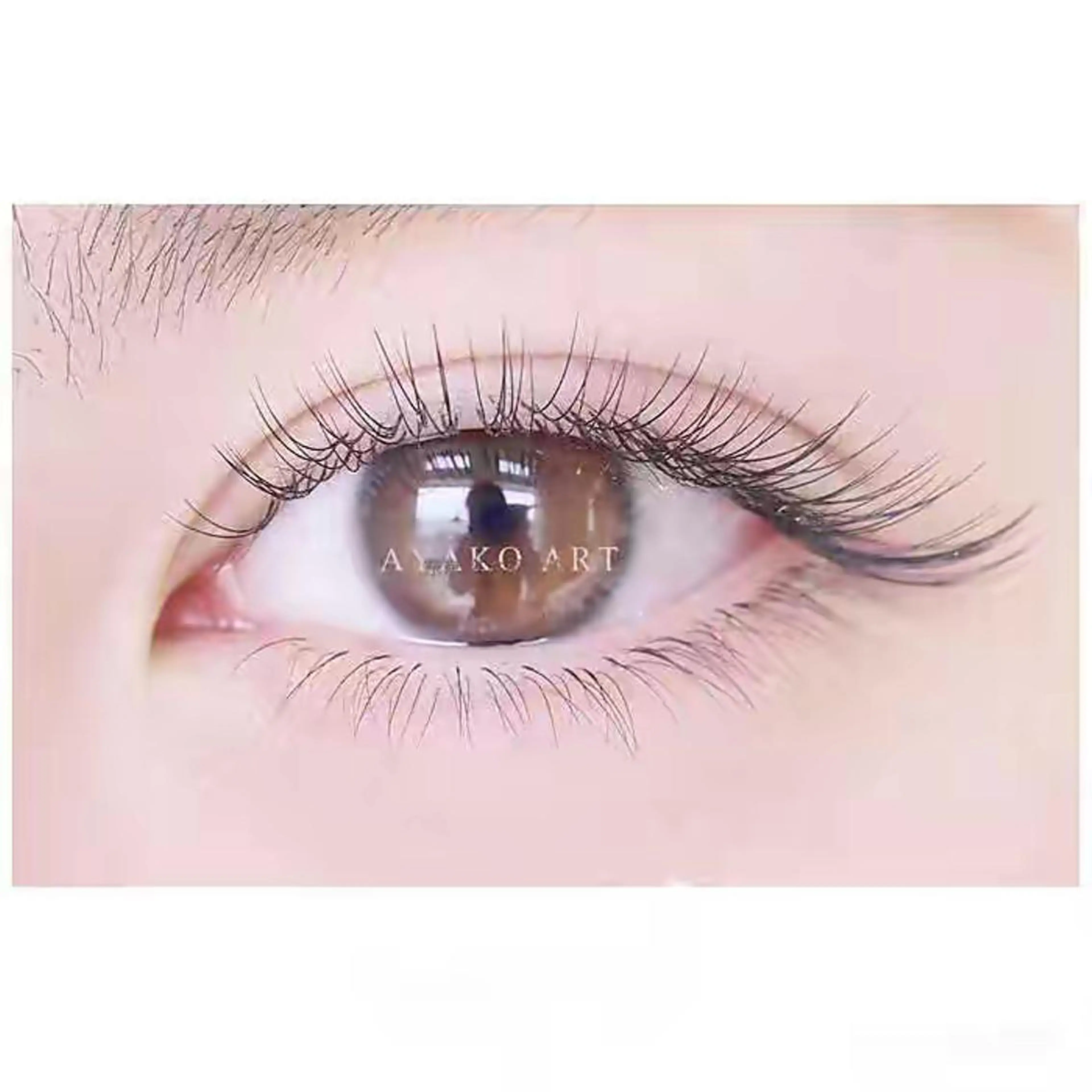 フラットラッシュ80本の写真