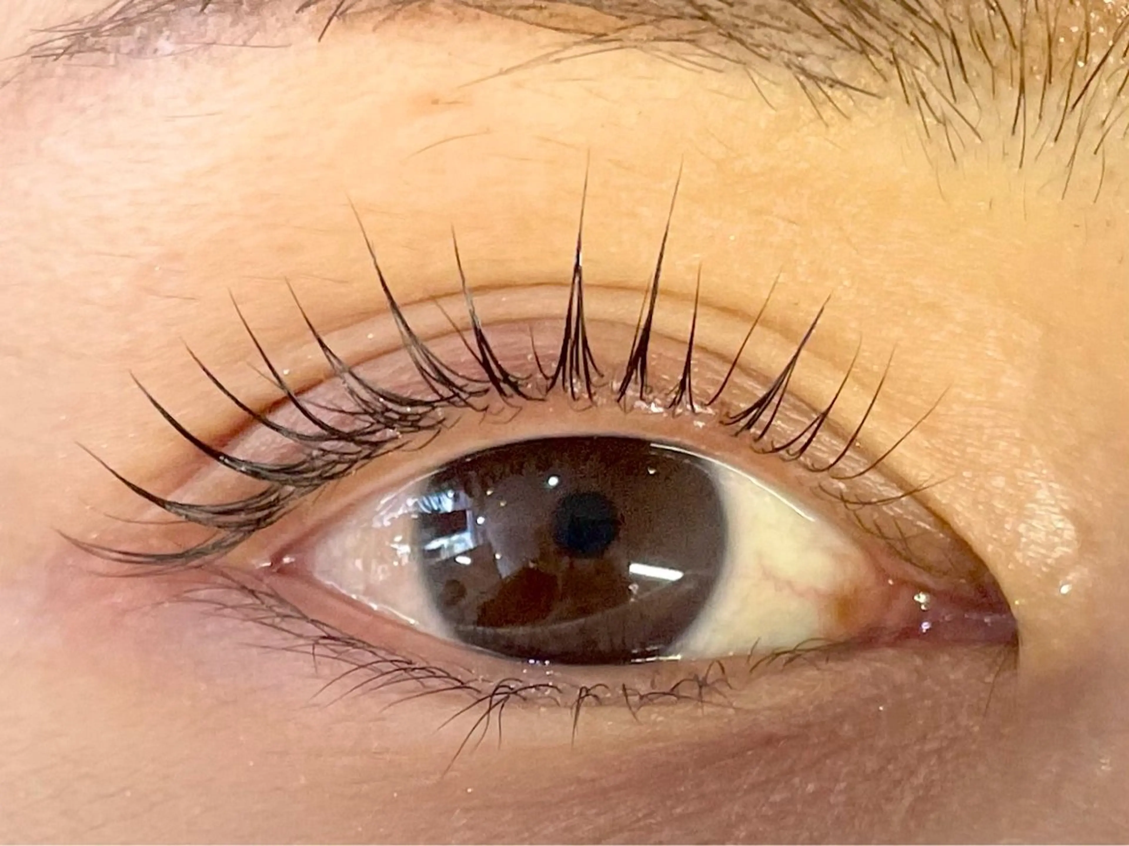 マツエク・マツパ マツパ 中村彩香 (エフドゥ)のマツエク・マツパデザイン